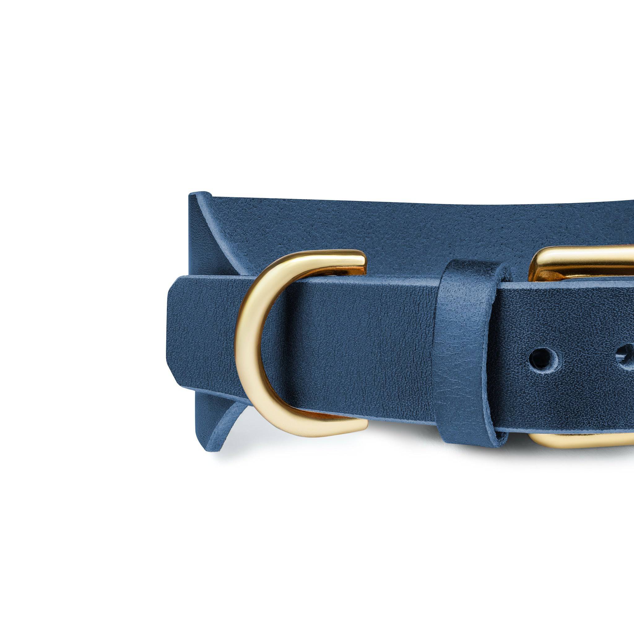 Atlas Wide Dog Collar in Midnight Navy by The Dogs Company, showing a durable blue nylon collar with metal buckle and adjustable strap.