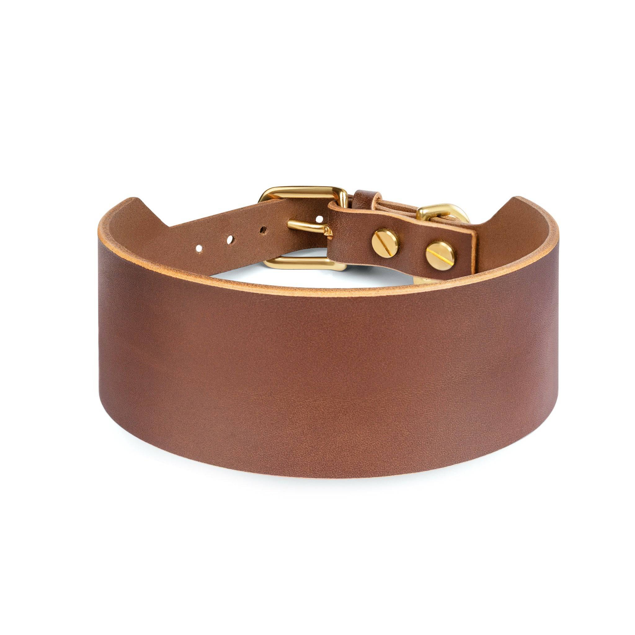 Atlas Wide Dog Collar in Coffee Brown from The Dogs Company, showing a durable wide leather collar with metal buckle.