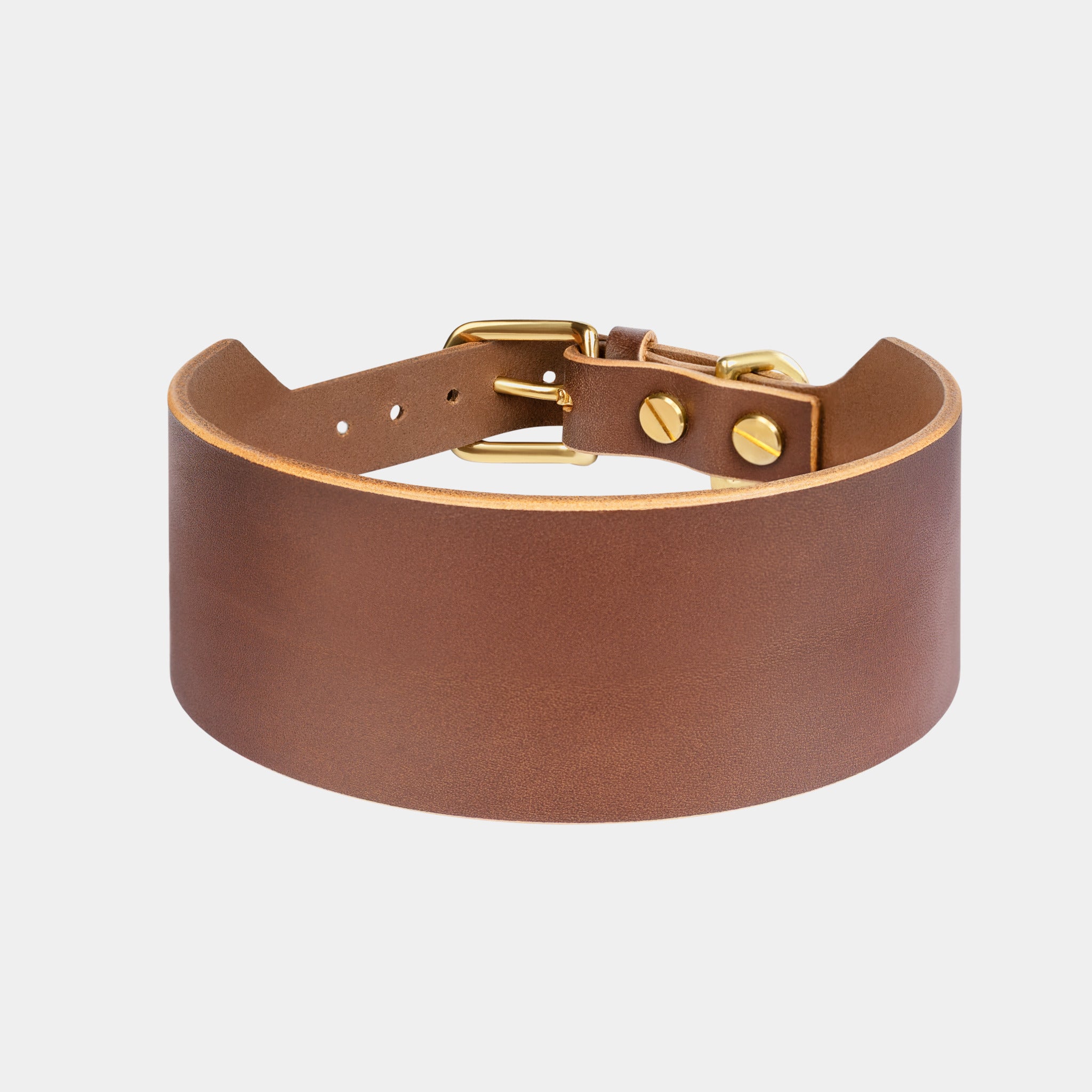 Atlas Wide Dog Collar in Coffee Brown