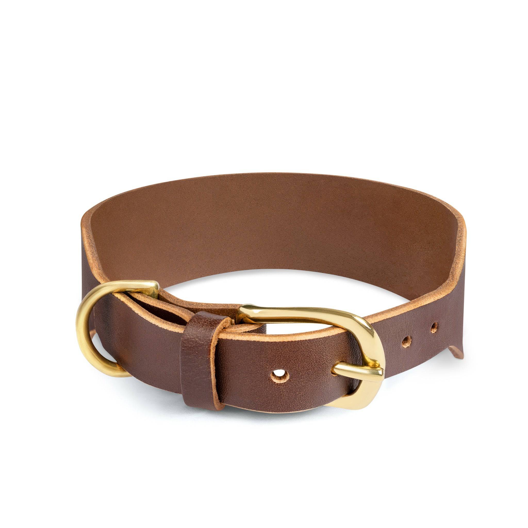 Wide coffee brown dog collar by The Dogs Company with durable design and adjustable strap for comfortable fit.