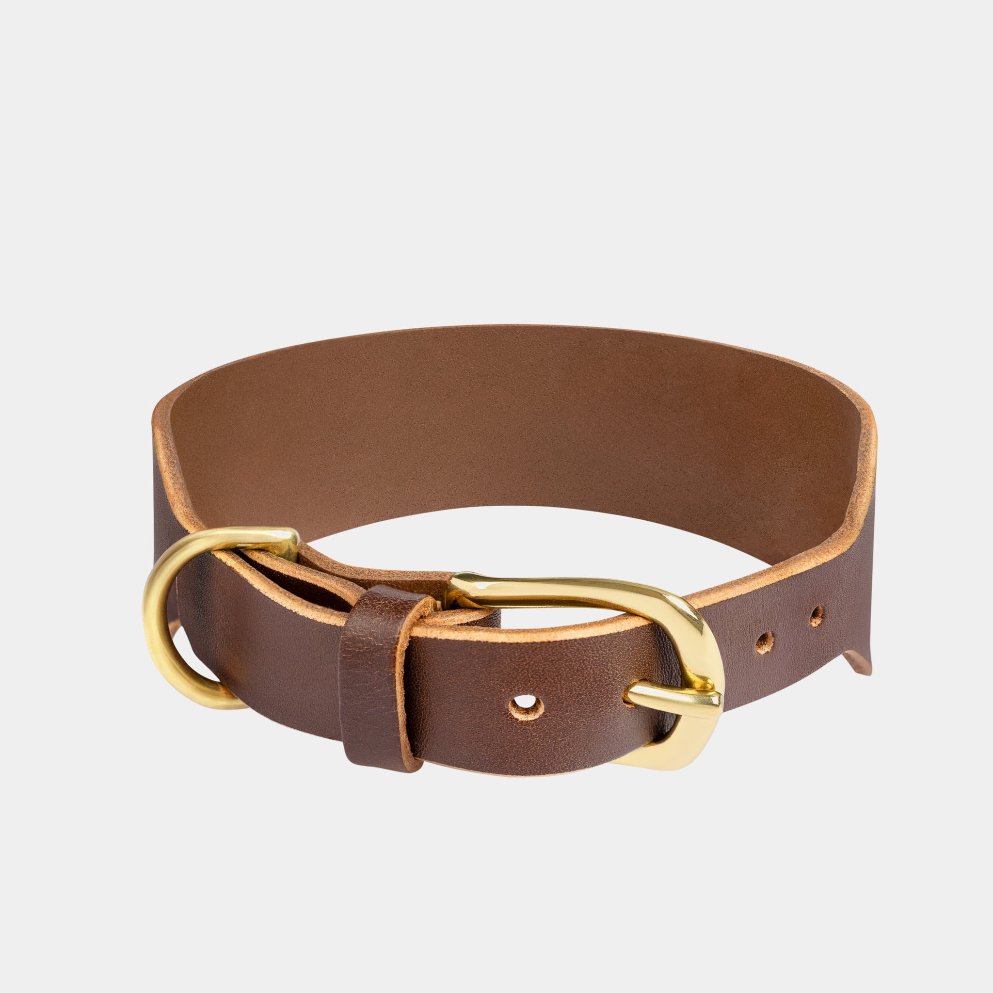 Atlas Wide Dog Collar in Coffee Brown