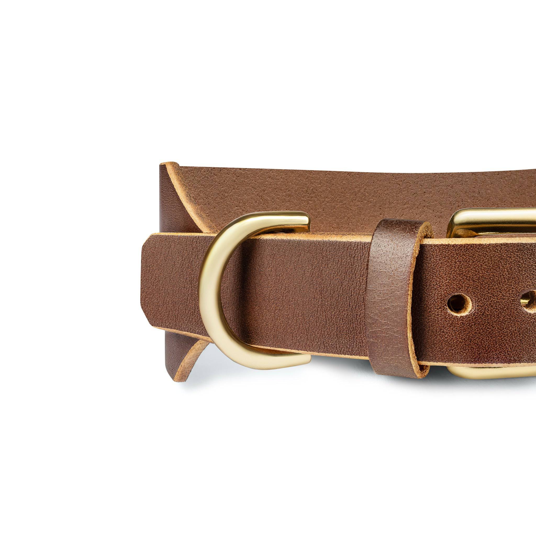 Atlas Wide Dog Collar in Coffee Brown from The Dogs Company, showing a durable wide leather collar with metal buckle detail.