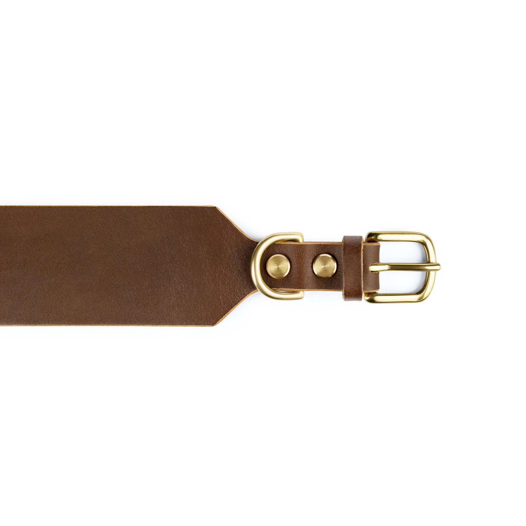 Atlas wide dog collar in coffee brown from The Dogs Company, showing a sturdy leather collar with metal buckle and matching stitching.