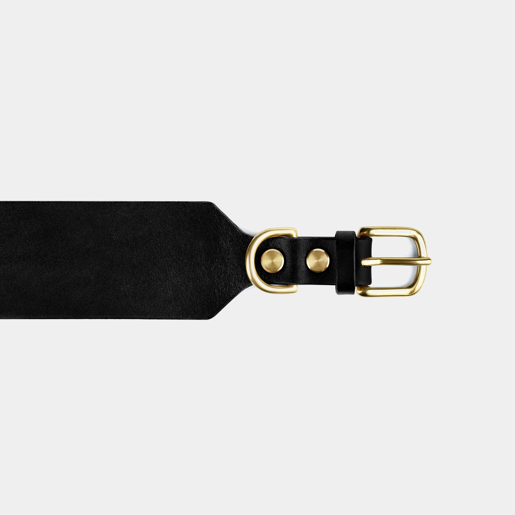 Atlas Wide Dog Collar in Noir