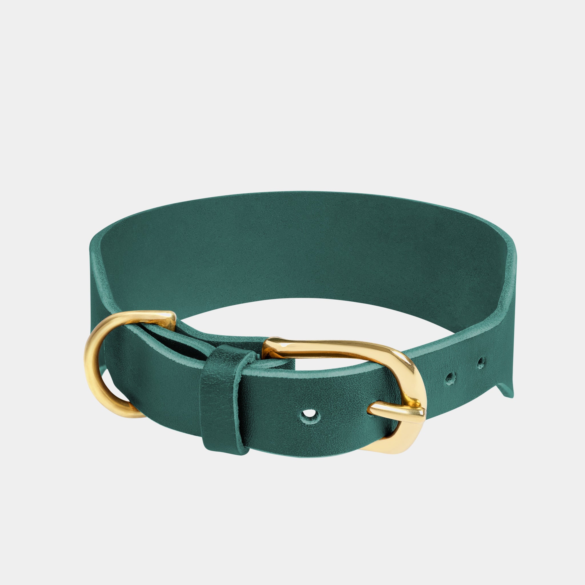 Atlas Leather Collar & Aura Handsfree Leash in Forest Green