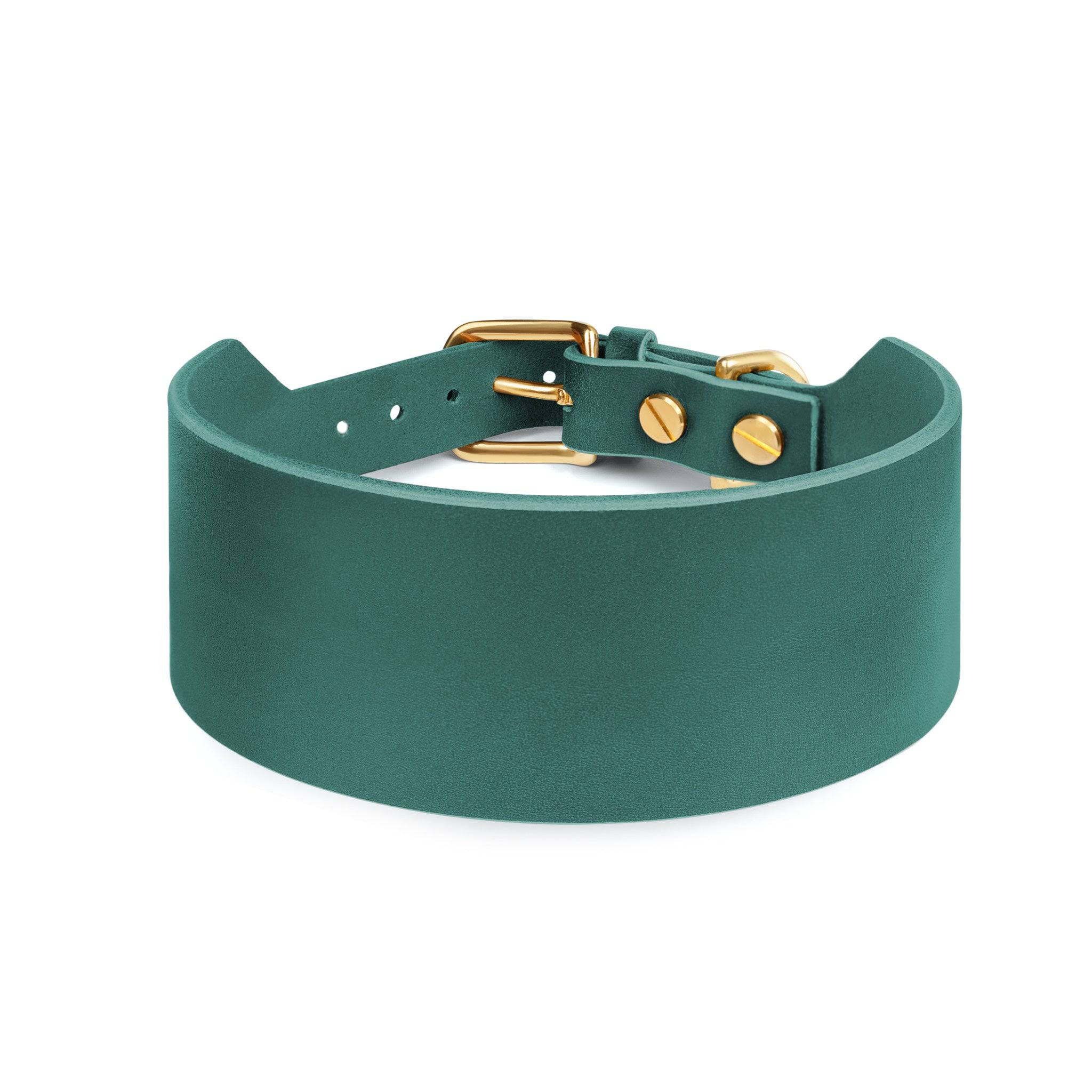 Wide forest green dog collar from The Dogs Company featuring durable material and adjustable design for comfortable fit.