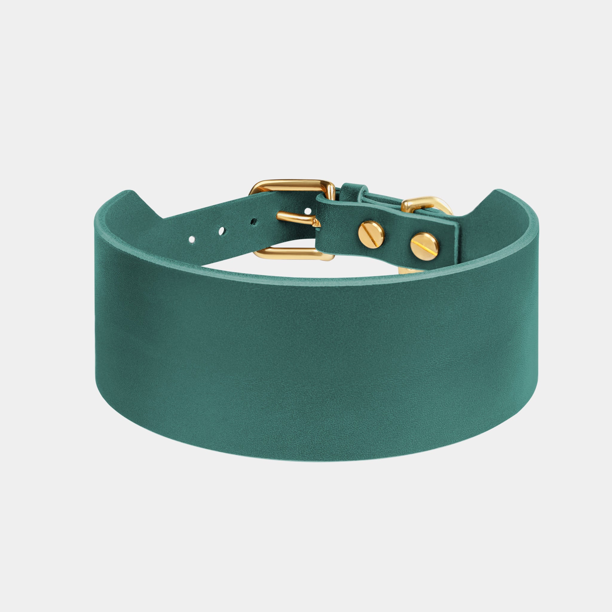 Atlas Wide Dog Collar int Forest Green