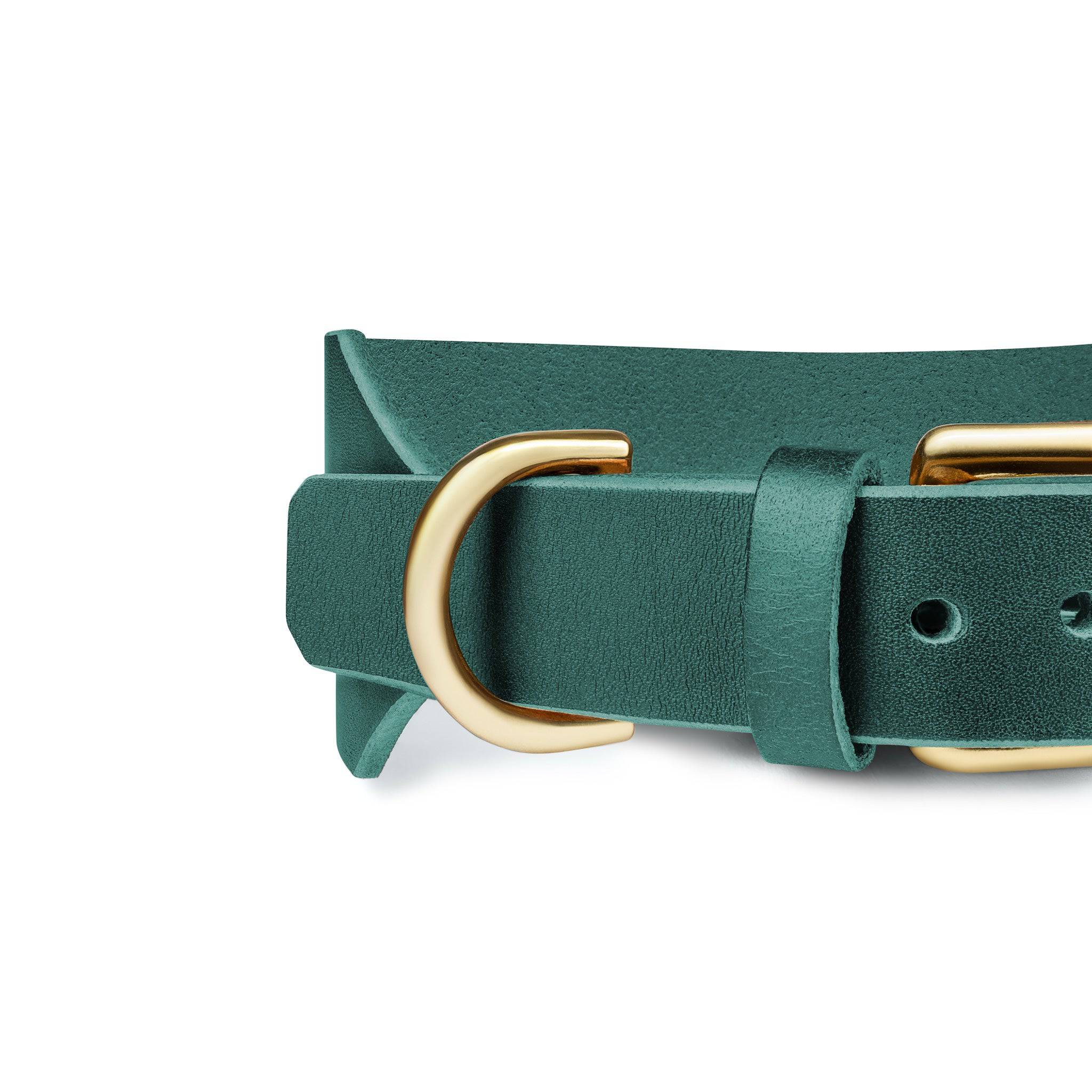 Atlas Wide Dog Collar in forest green from The Dogs Company, featuring durable material and adjustable fit for large dogs.