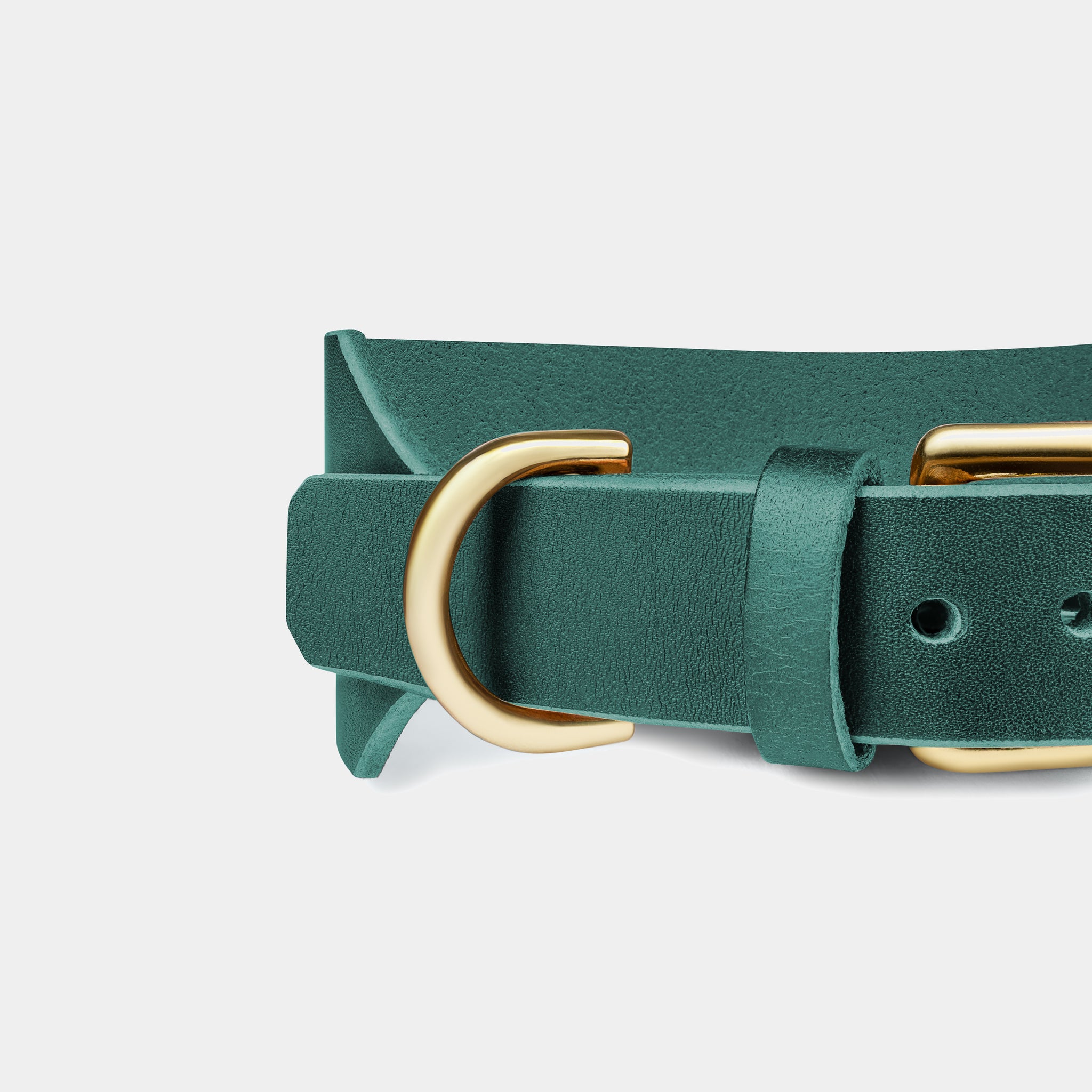 Atlas Leather Collar & Aura Handsfree Leash in Forest Green