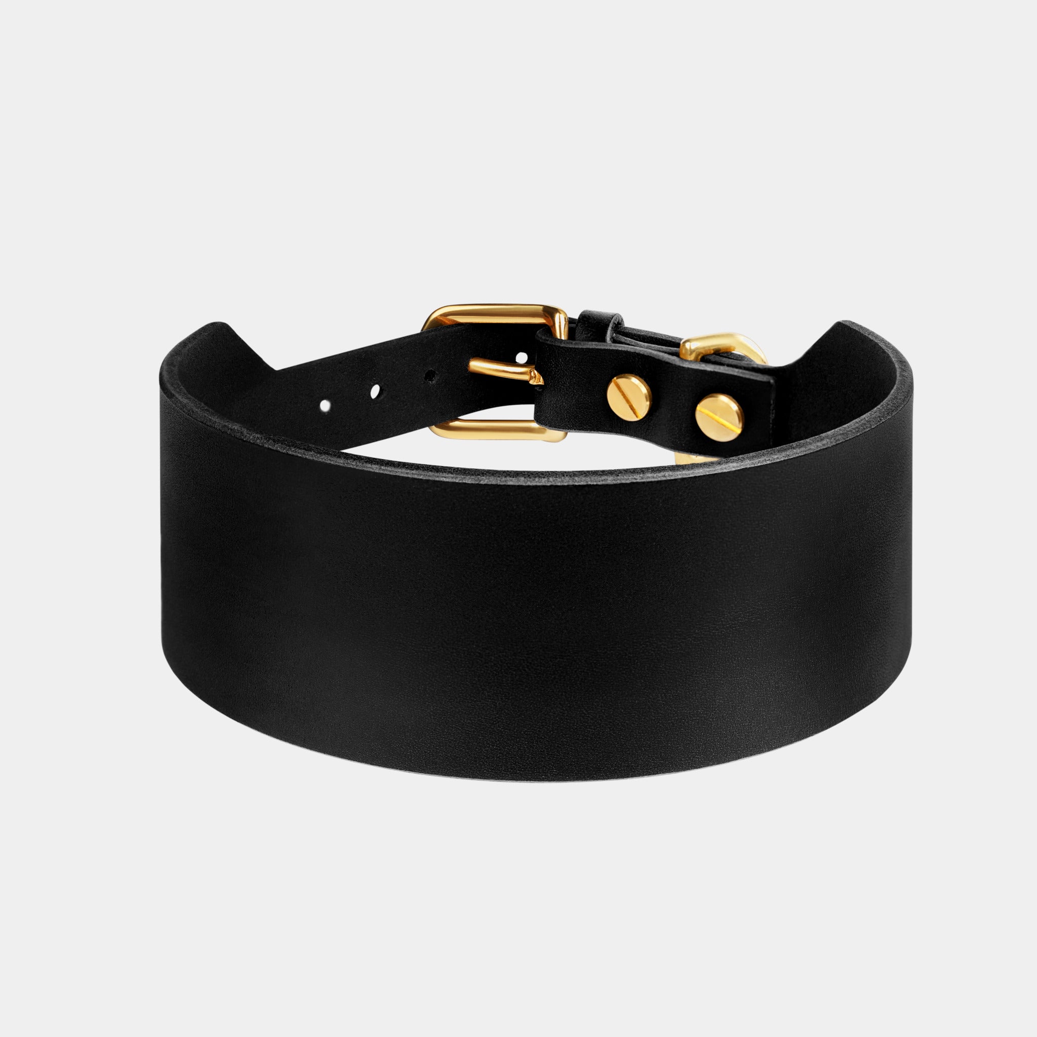 Atlas Wide Dog Collar in Noir