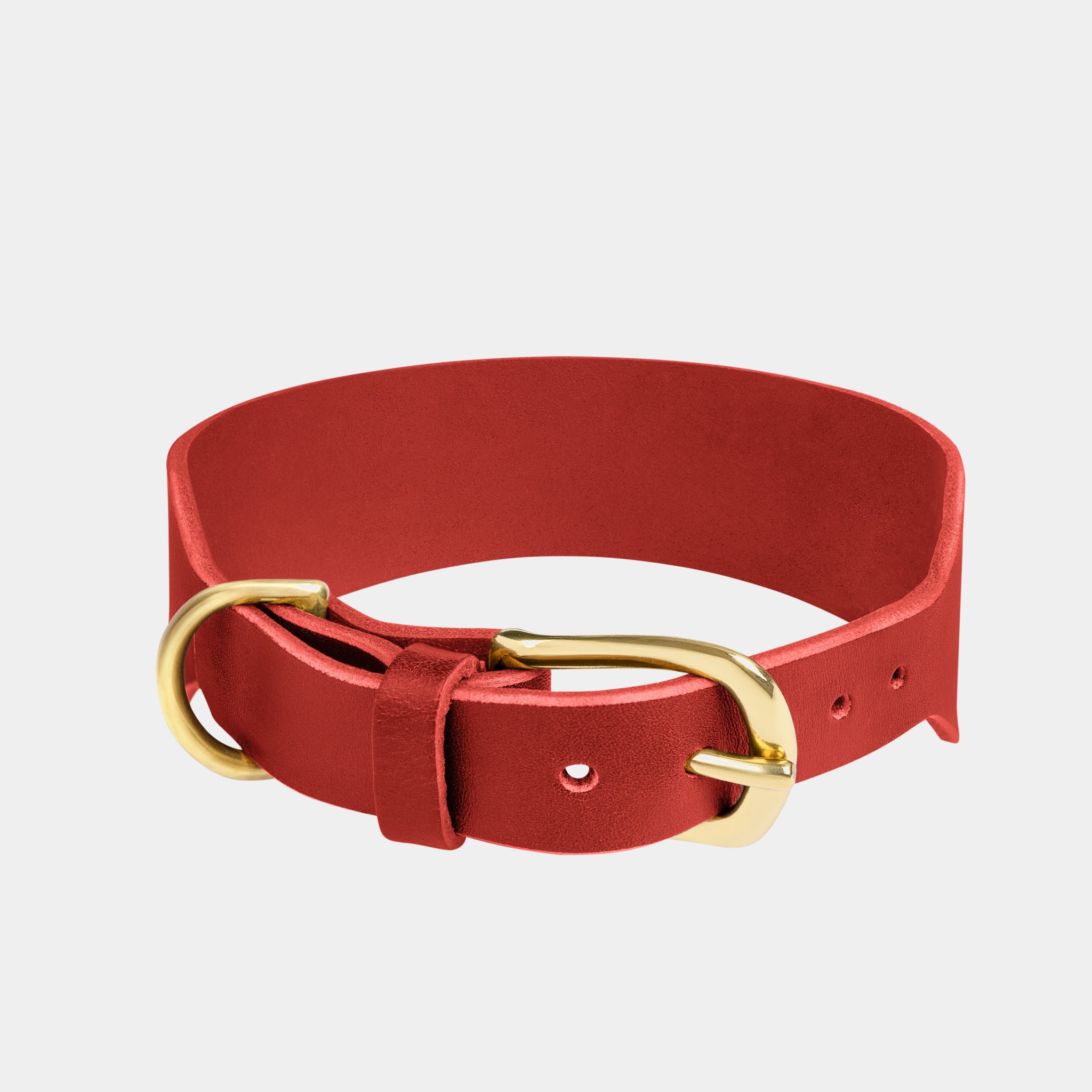 Atlas Leather Collar & Aura Handsfree Leash in Burgundy Red