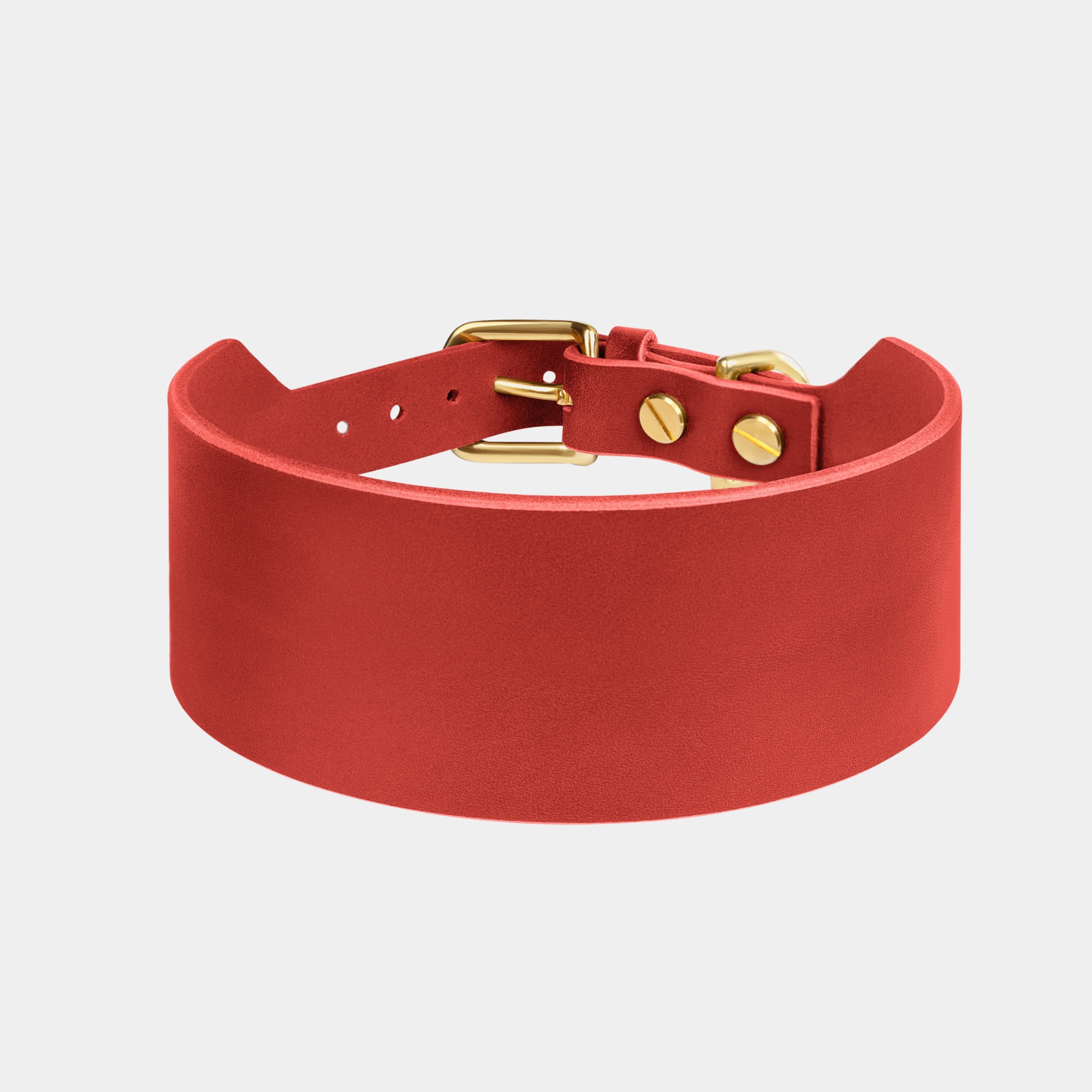Atlas Wide Dog Collar in Burgundy Red