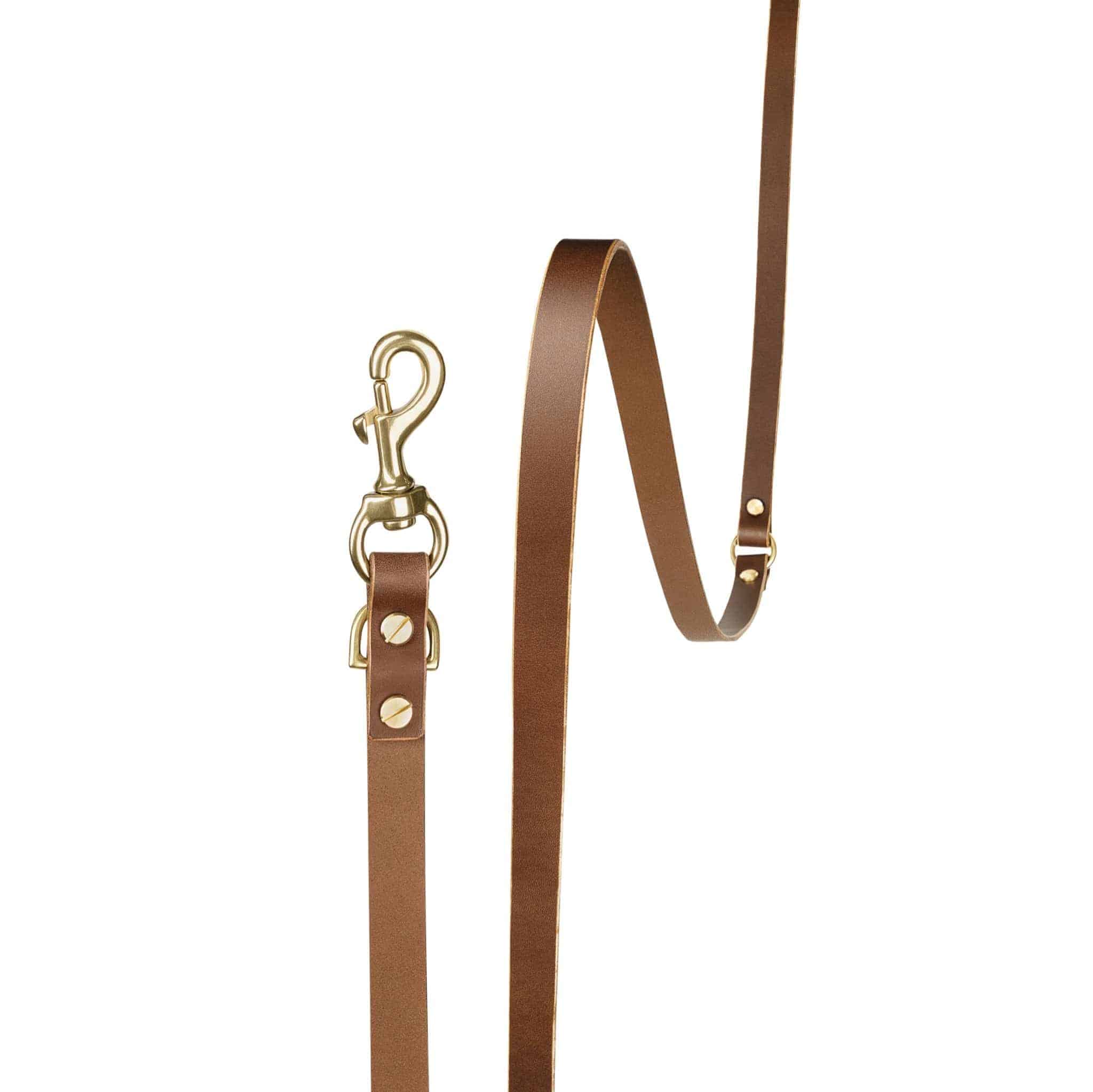 Aura hands-free leather leash in coffee brown by The Dogs Company, showing the sturdy leather strap and metal clip on a neutral background.