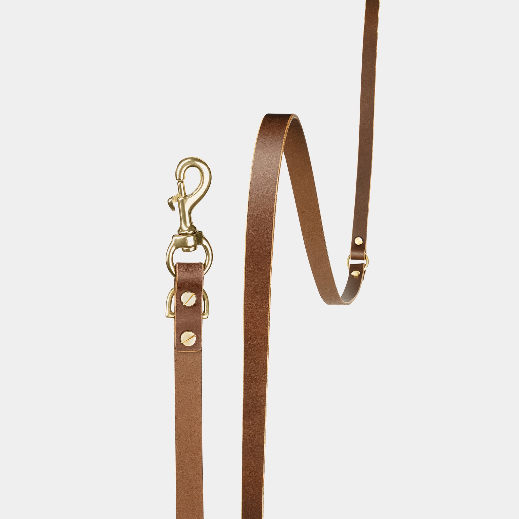 Atlas Leather Collar & Aura Handsfree Leash in Coffee Brown