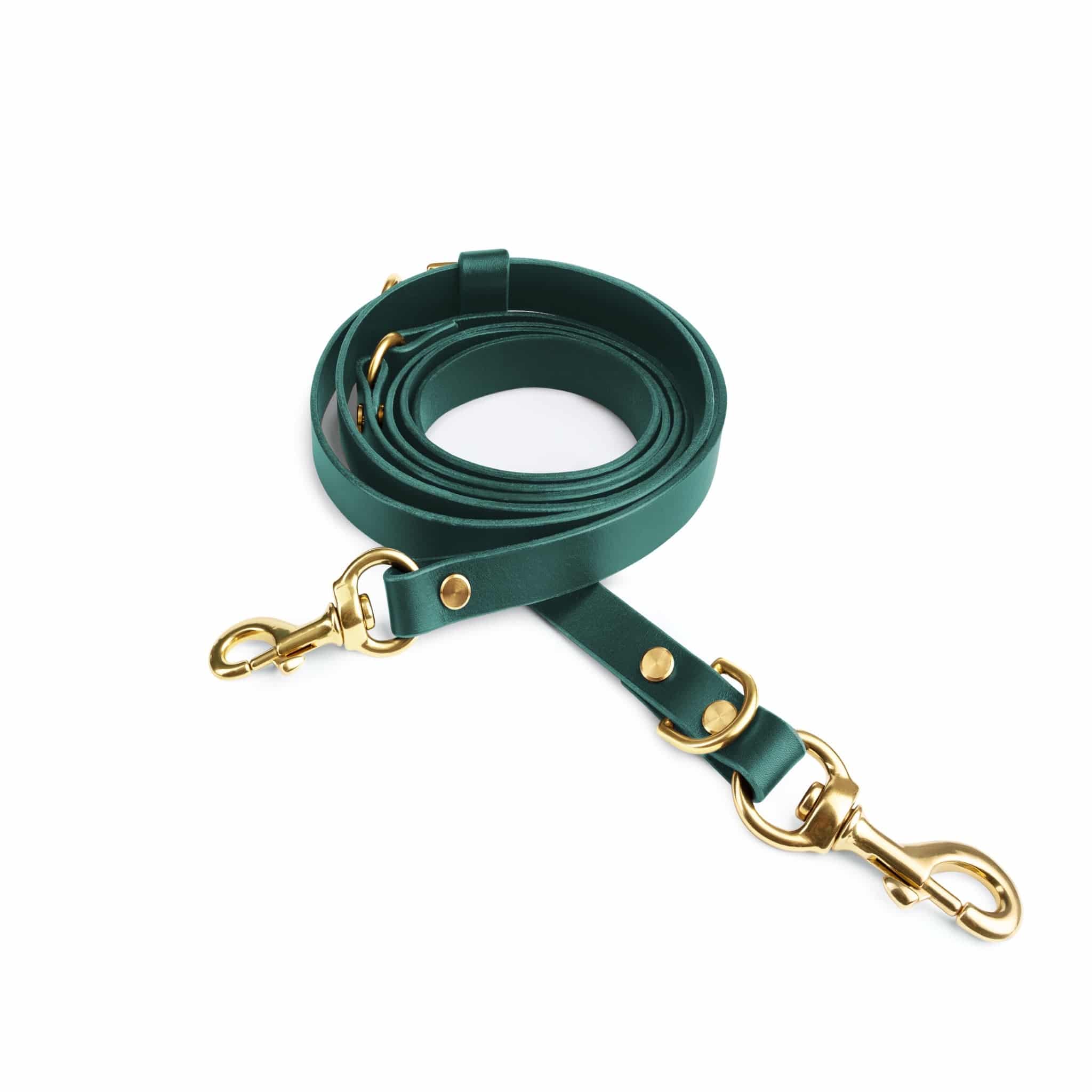 Atlas leather collar and Aura handsfree leash in forest green, durable leather dog collar with matching leash for outdoor walks.
