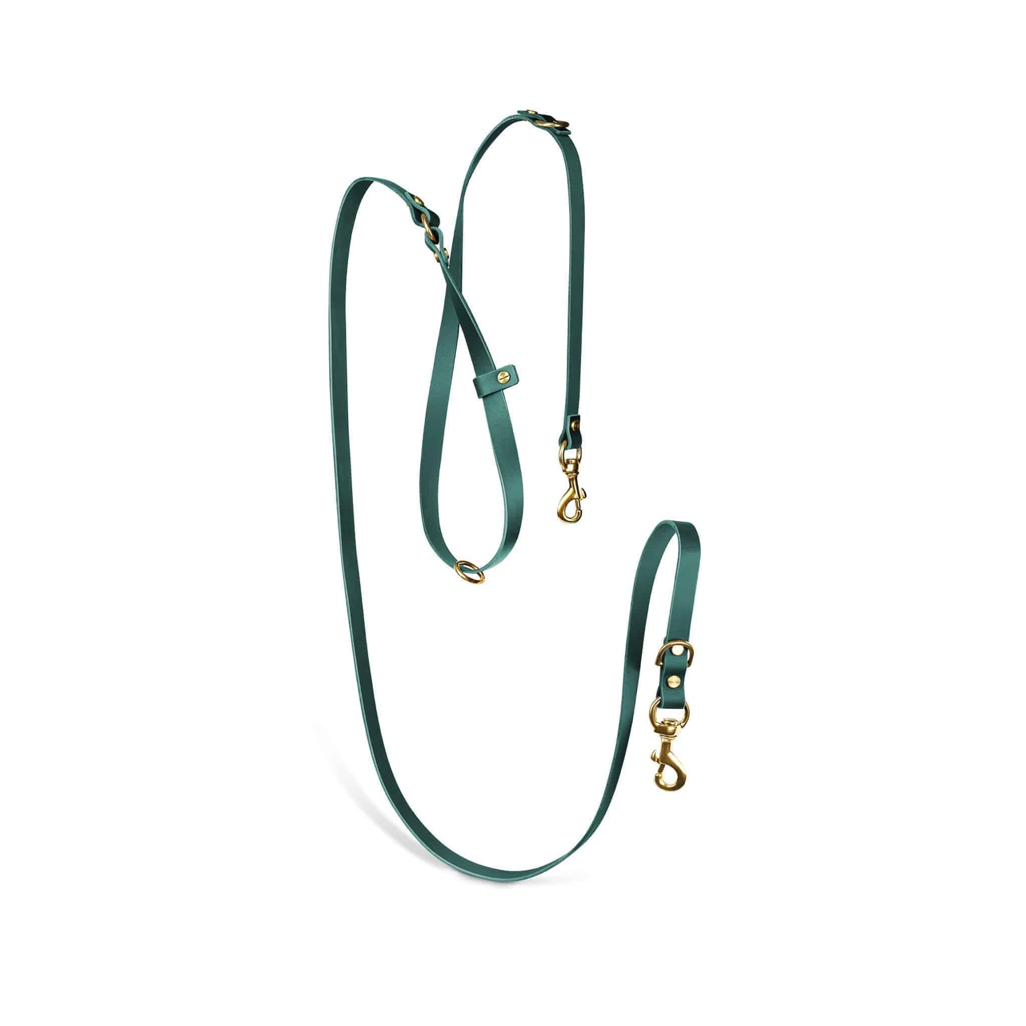 Atlas leather collar and Aura handsfree leash in forest green from The Dogs Company, with the leash attached to the collar.
