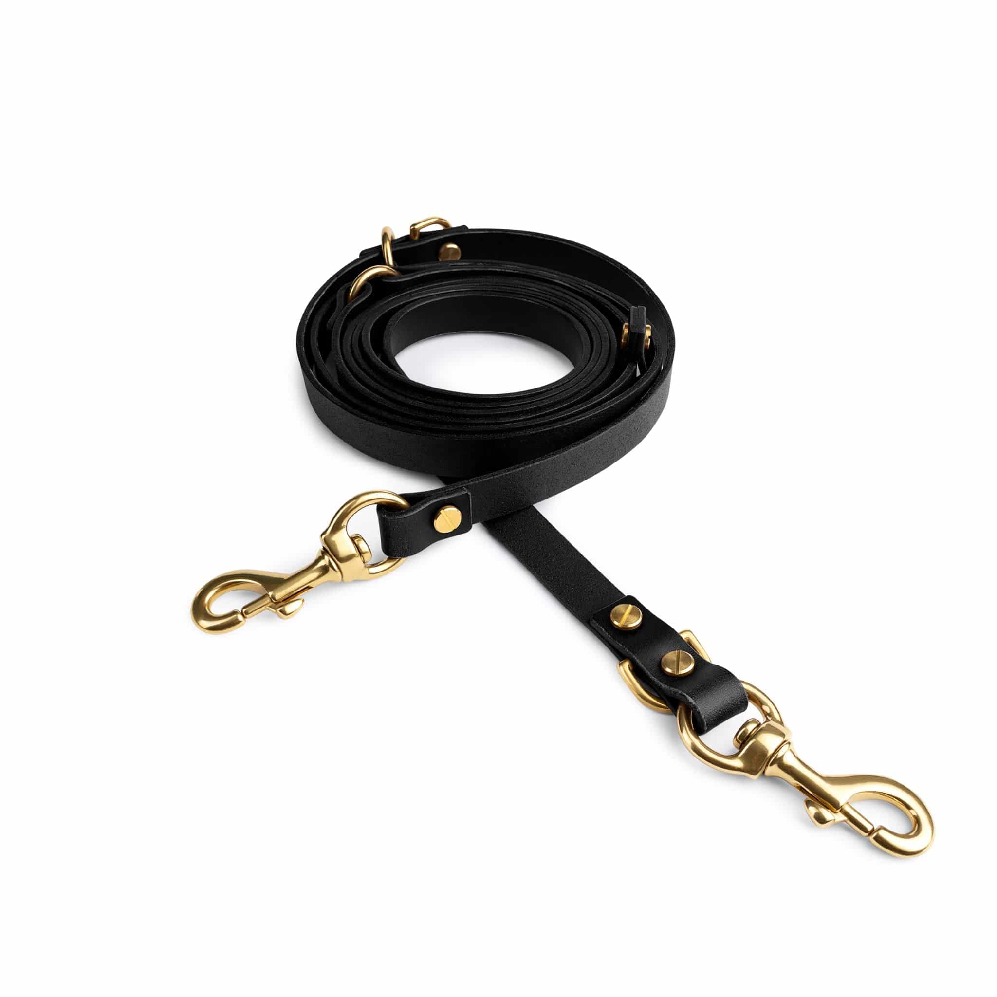 Halo leather collar and aura hands-free leash bundle by The Dogs Company, featuring black leather materials and secure design.
