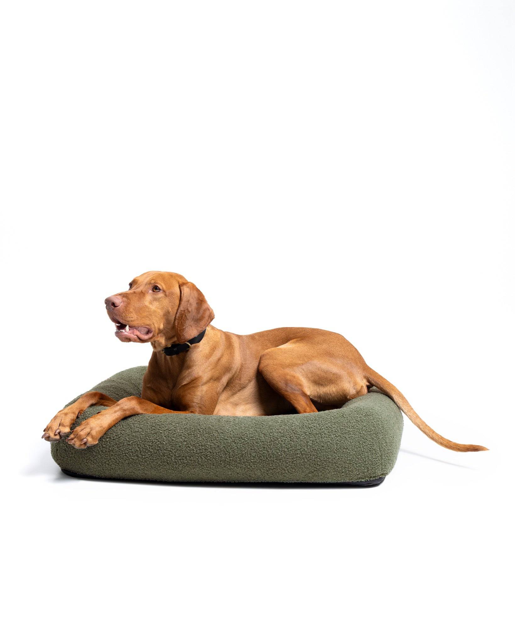 Viszla Bouclé Infinity Pet Bed by The Dogs Company featuring a plush, circular design for cozy pet relaxation.