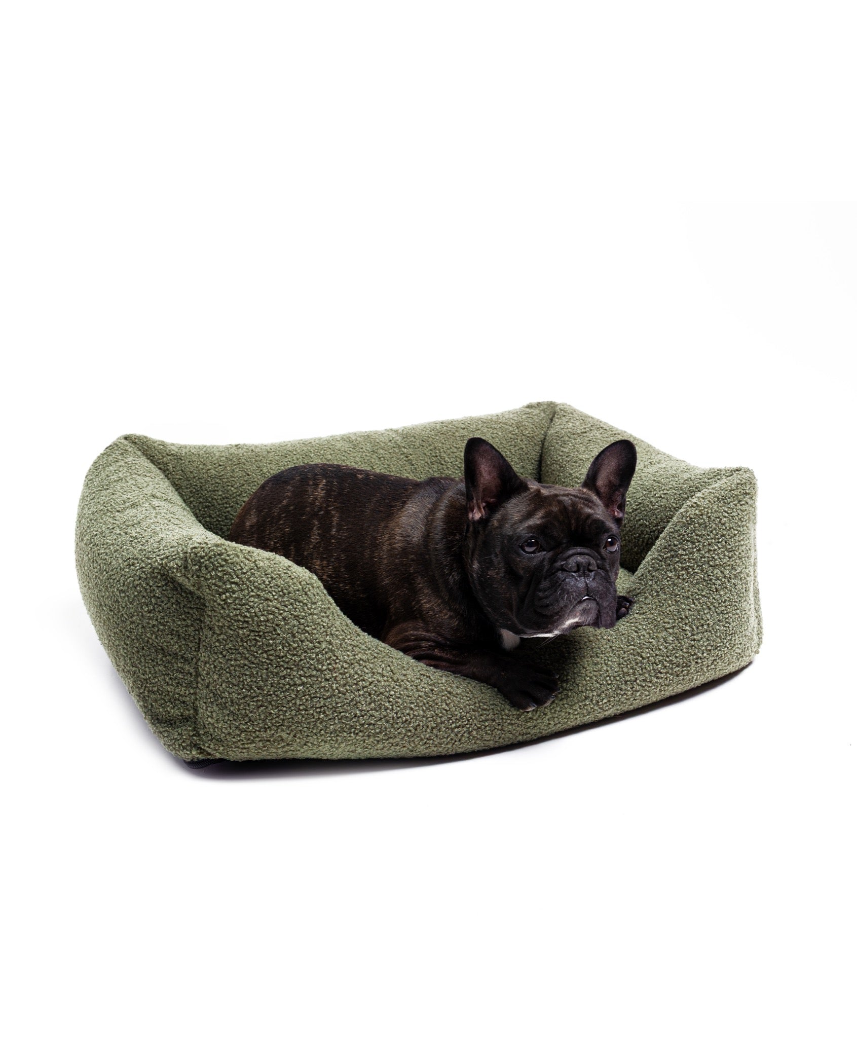 Soft bouclé lounge pet bed by The Dogs Company, featuring cozy cushioning and stylish design for small dogs like French Bulldogs.