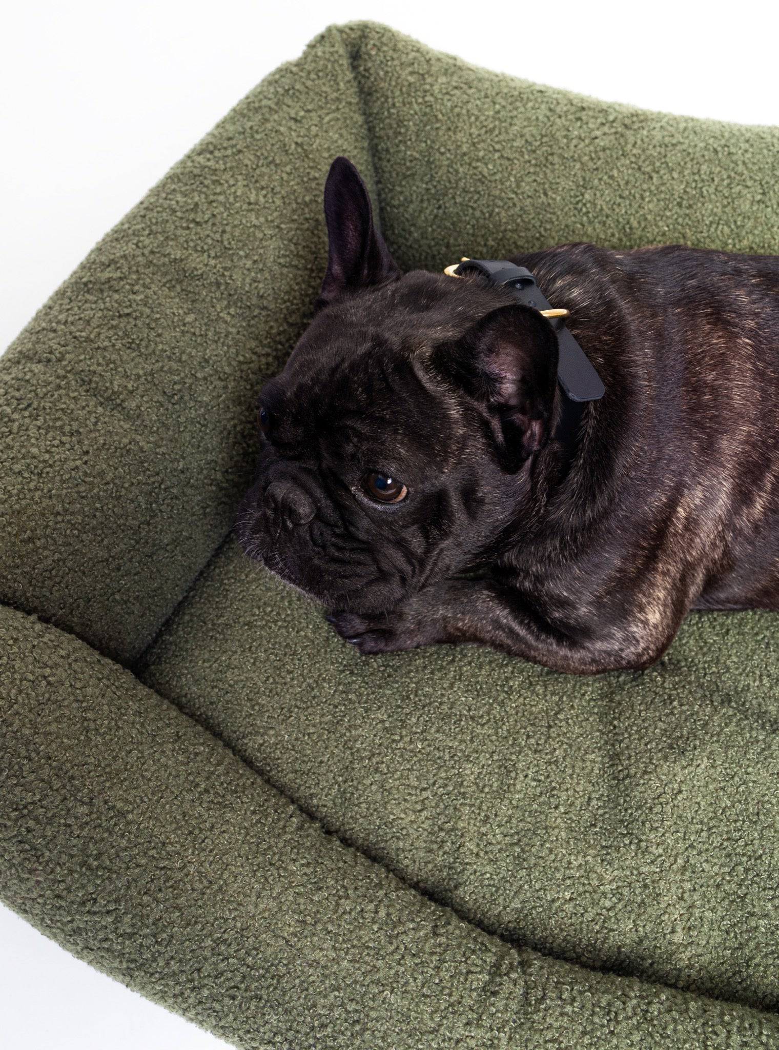 Soft bouclé lounge pet bed for French bulldogs by The Dogs Company, featuring a cozy, stylish design for comfortable resting.