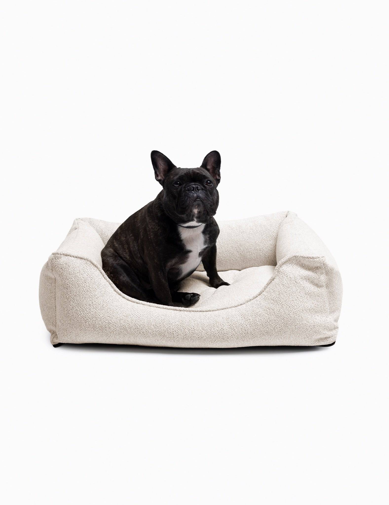Comfortable Gaya Lounge Pet Bed by The Dogs Company with soft fabric and cozy design for small dogs like French Bulldogs.