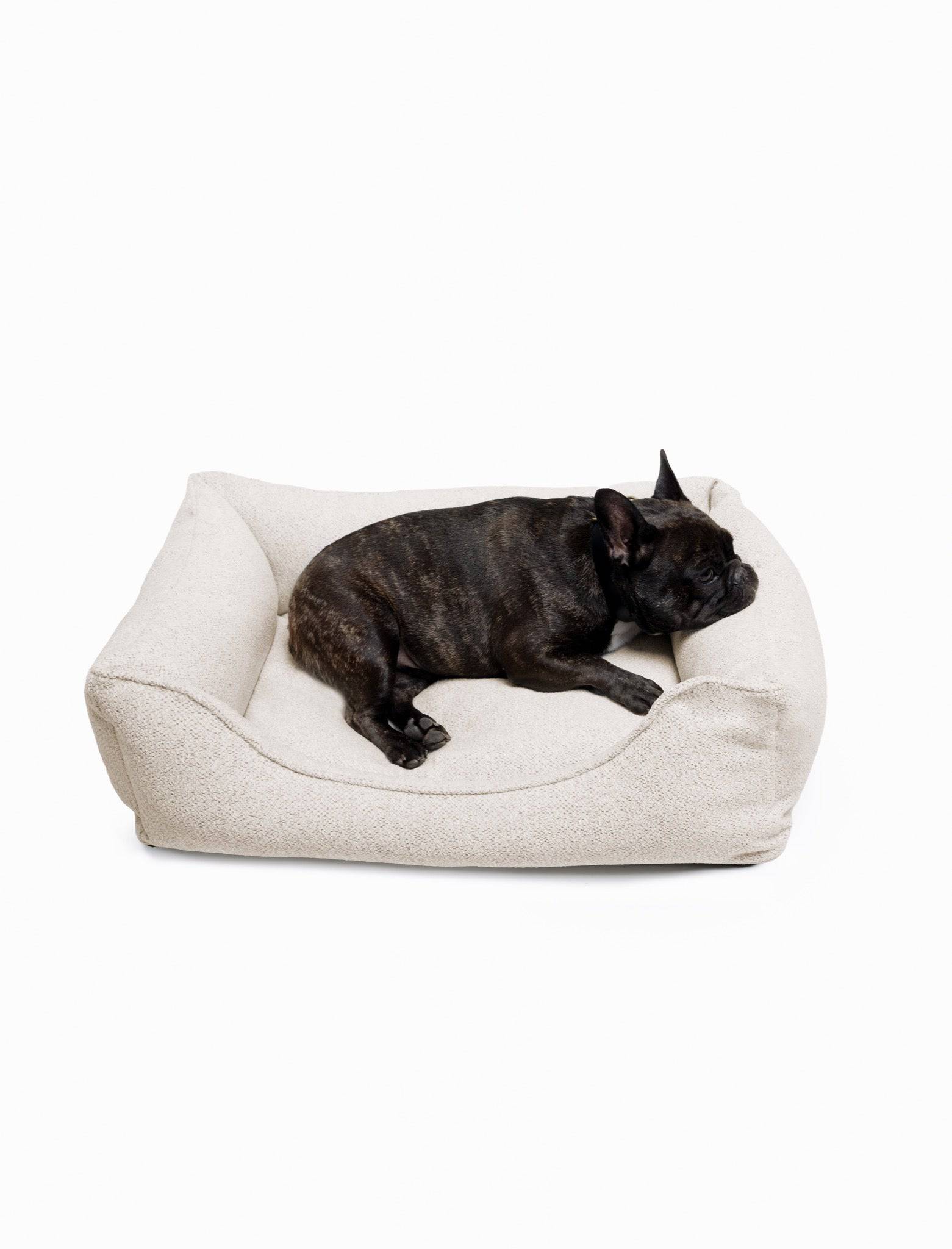 Soft Gaya Lounge Bed by The Dogs Company for pets, featuring a cozy Frenchie resting on its plush surface.
