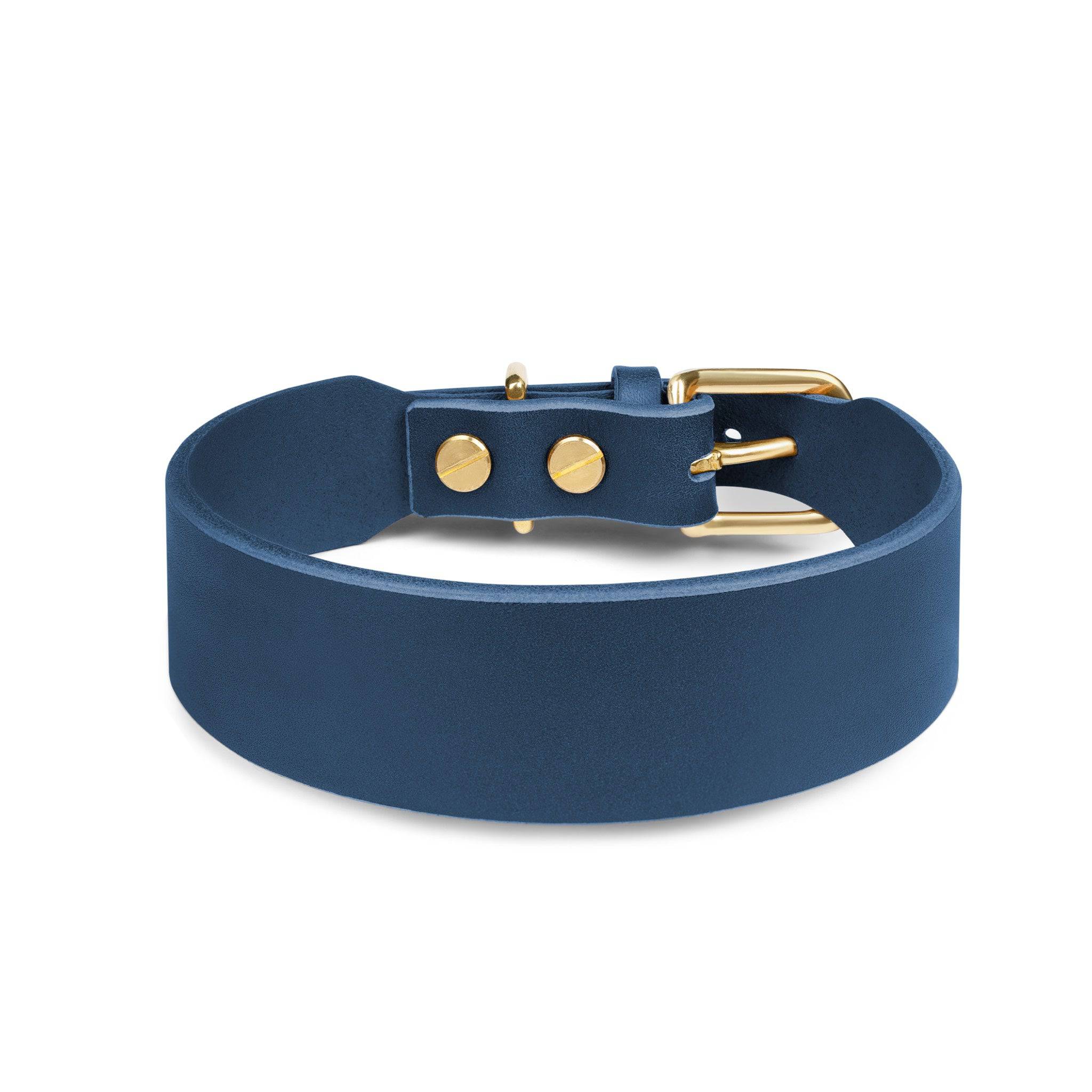 Grace Classic Leather Collar in Midnight Navy by The Dogs Company, shown in blue leather with silver hardware.