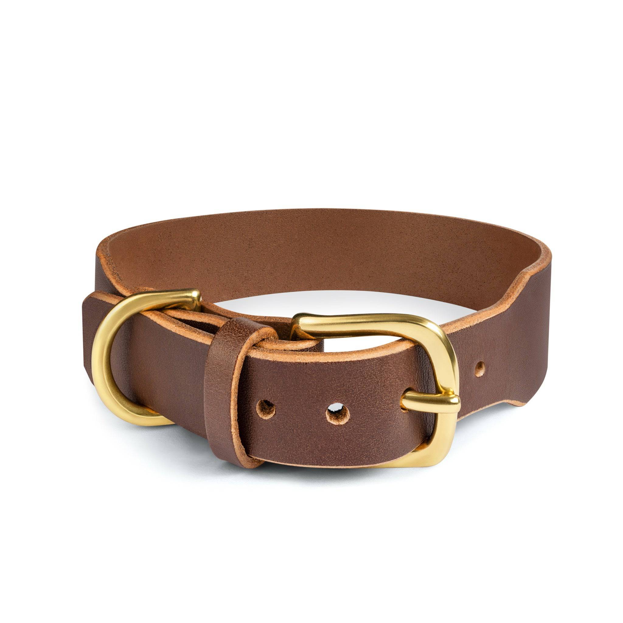 Grace Classic Leather Collar from The Dogs Company in coffee brown, featuring a durable leather design on a plain background.