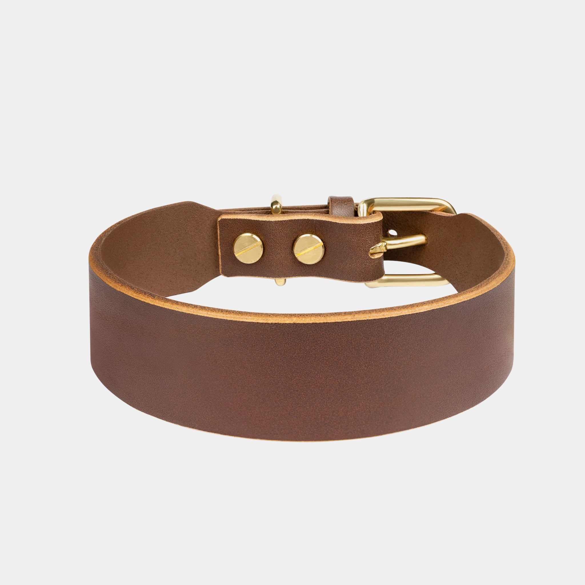Grace Classic Leather Collar in Coffee Brown