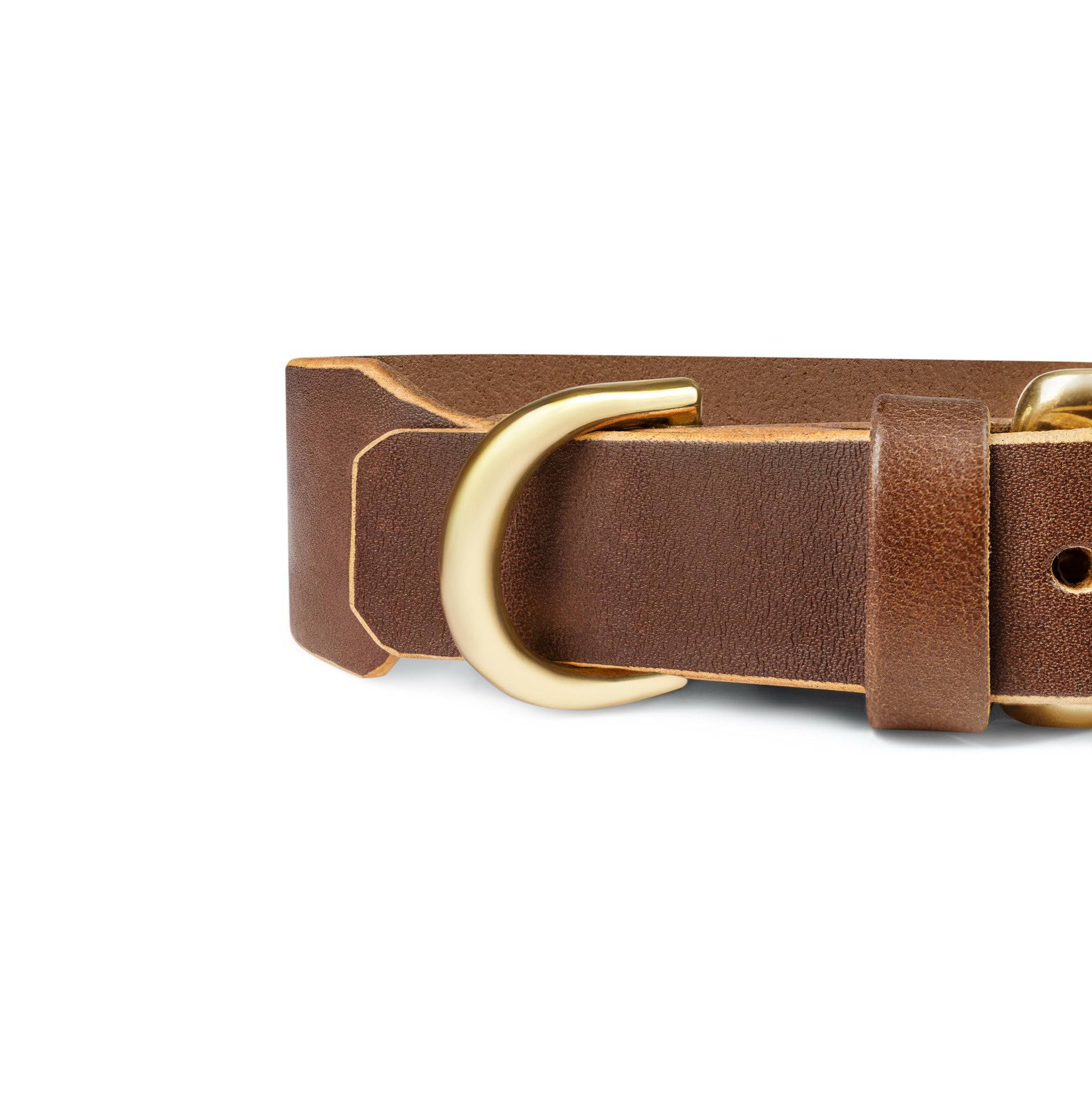 Grace Classic Leather Collar in Coffee Brown by The Dogs Company, showing a stylish leather dog collar with metal buckle.