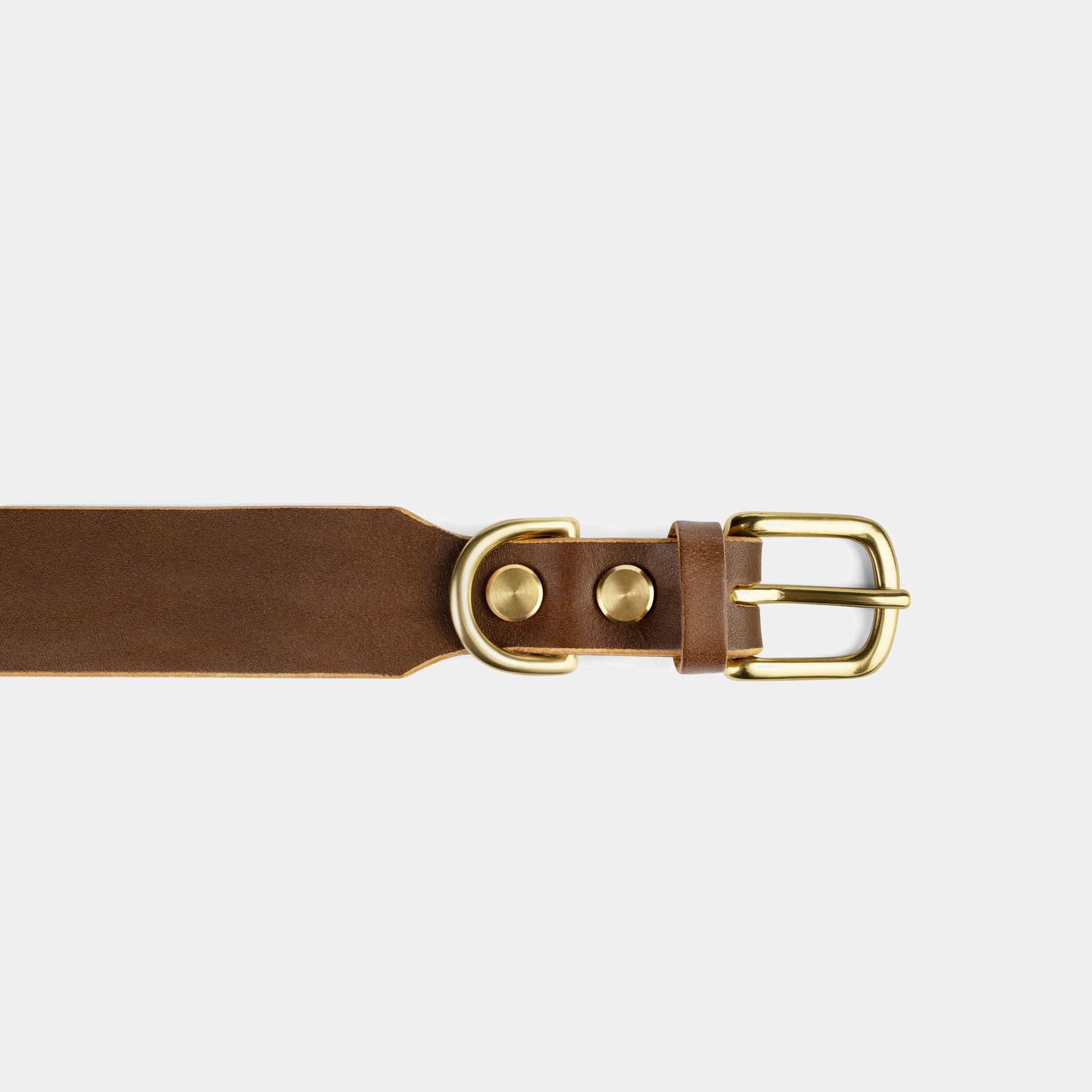 Grace Leather Collar & Aura Handsfree Leash in Coffee Brown