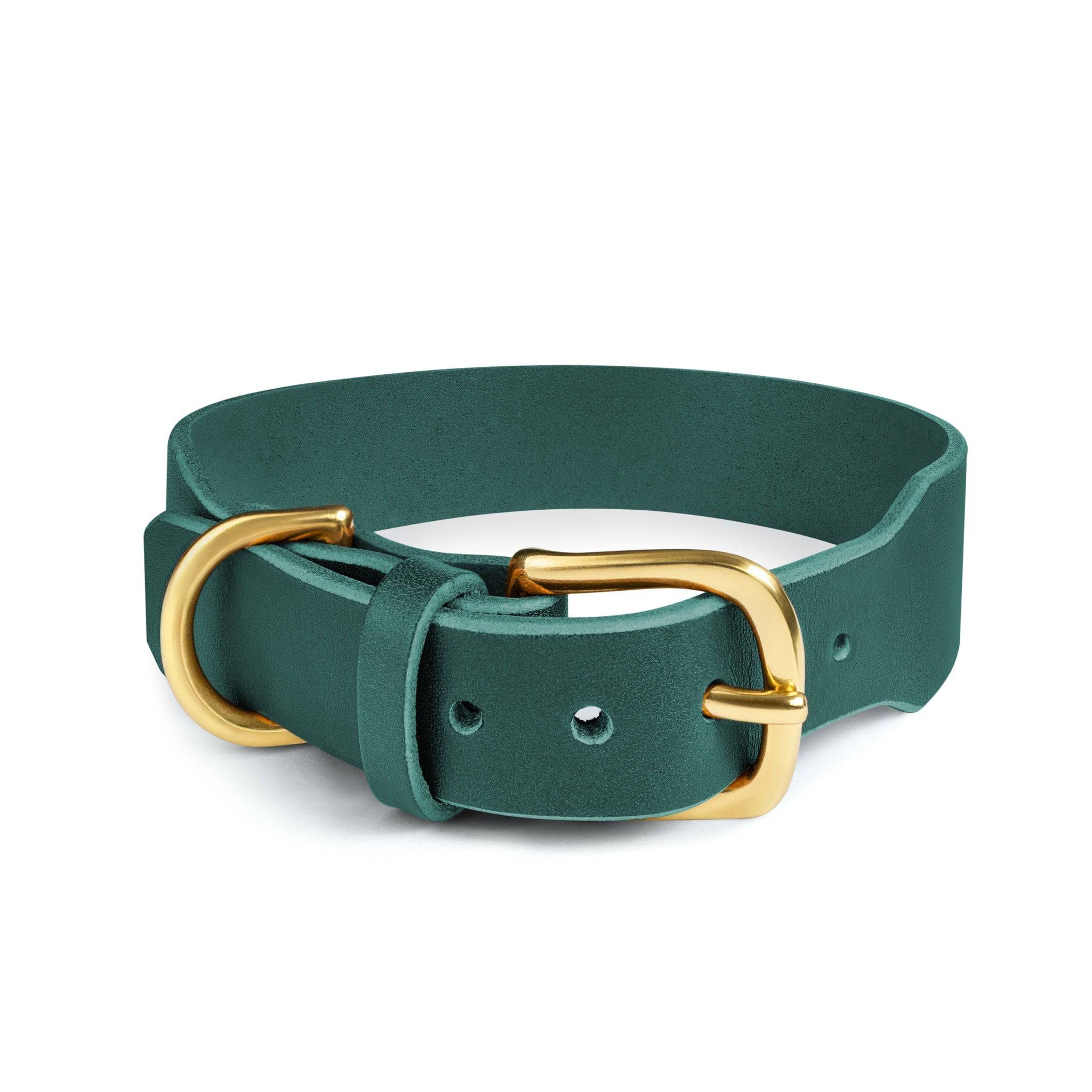 Grace Classic Leather Collar by The Dogs Company in forest green, featuring a stylish leather design and adjustable fit.
