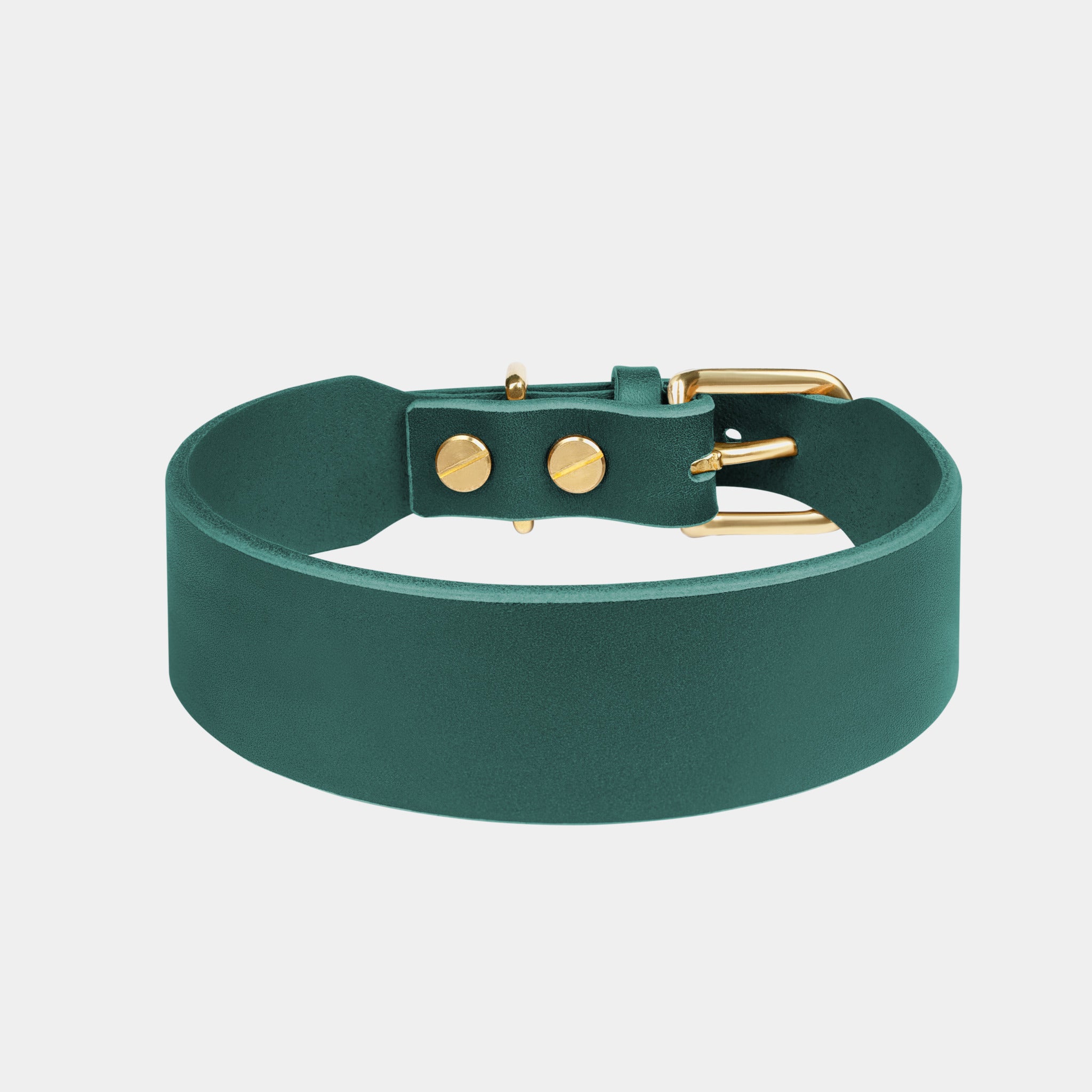 Grace Classic Leather Collar in Forest Green