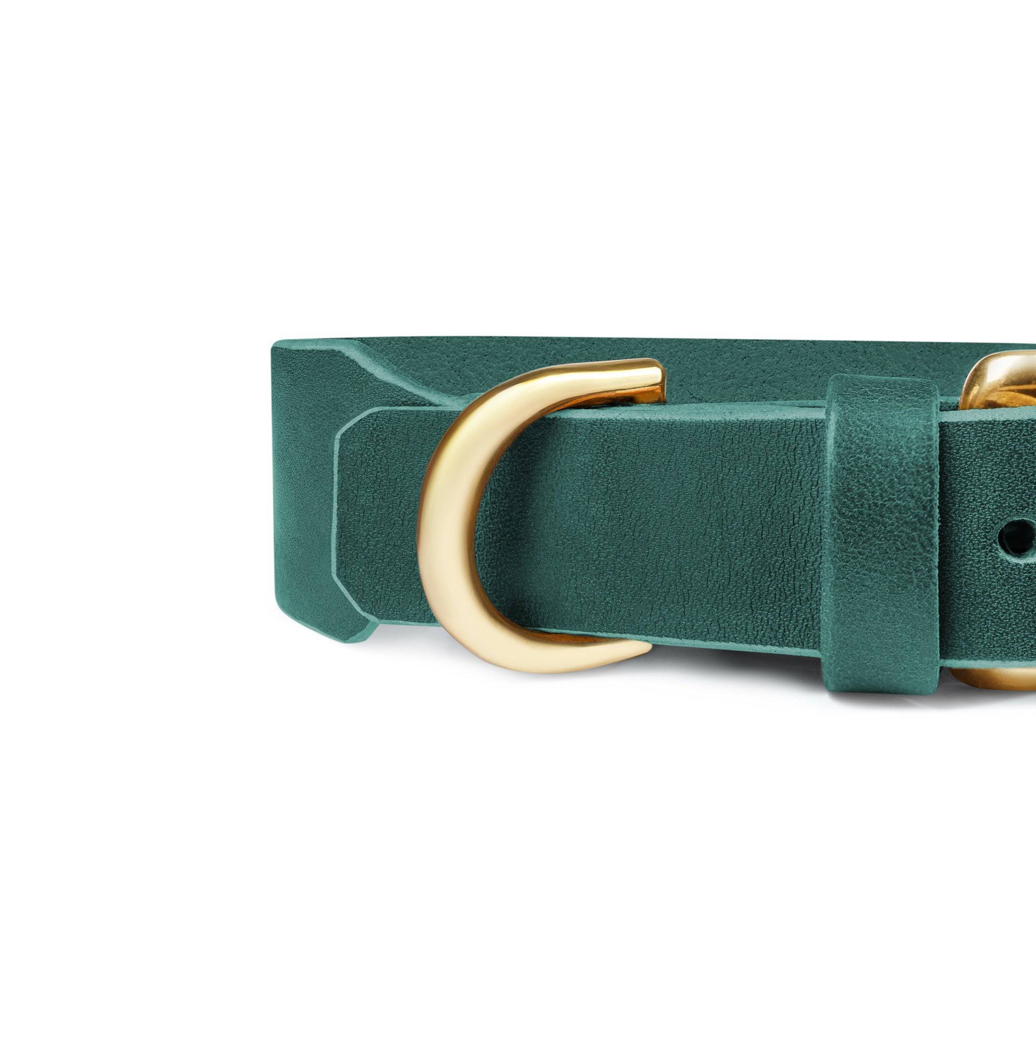 Grace Classic Leather Collar in Forest Green by The Dogs Company, showing a stylish green leather collar with metal buckle detail.