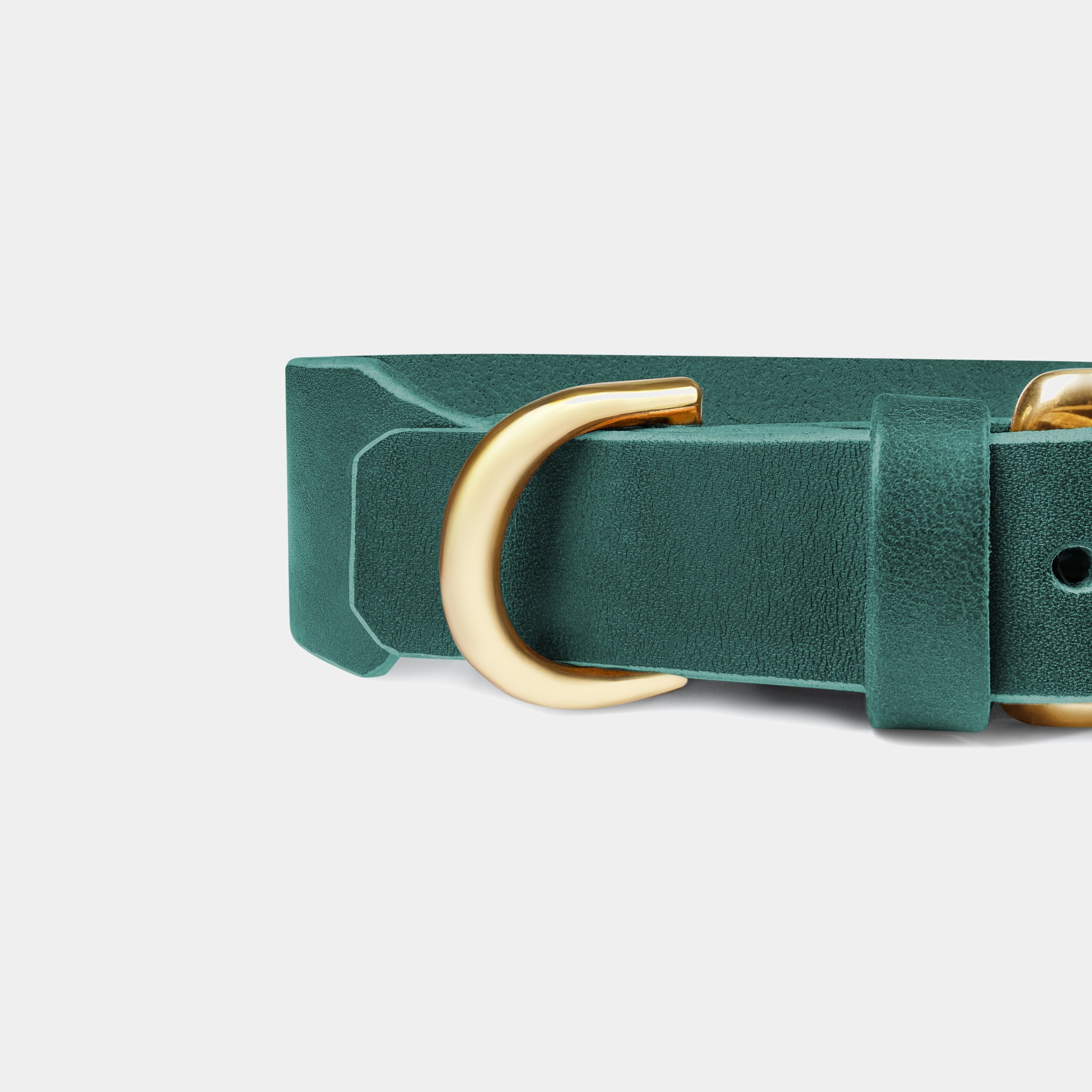 Grace Leather Collar & Aura Handsfree Leash in Forest Green