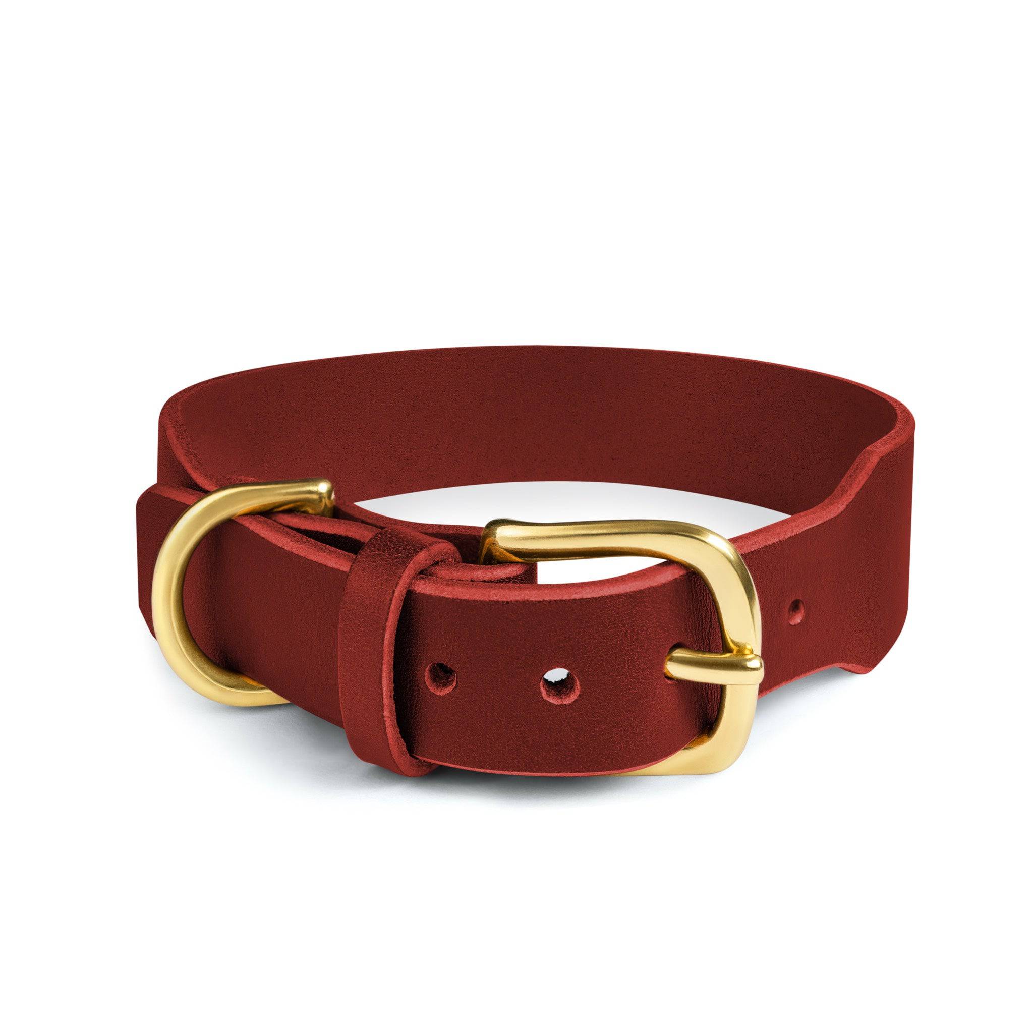 Grace Classic Leather Collar in Burgundy Red by The Dogs Company, showing a stylish leather dog collar with silver buckle.