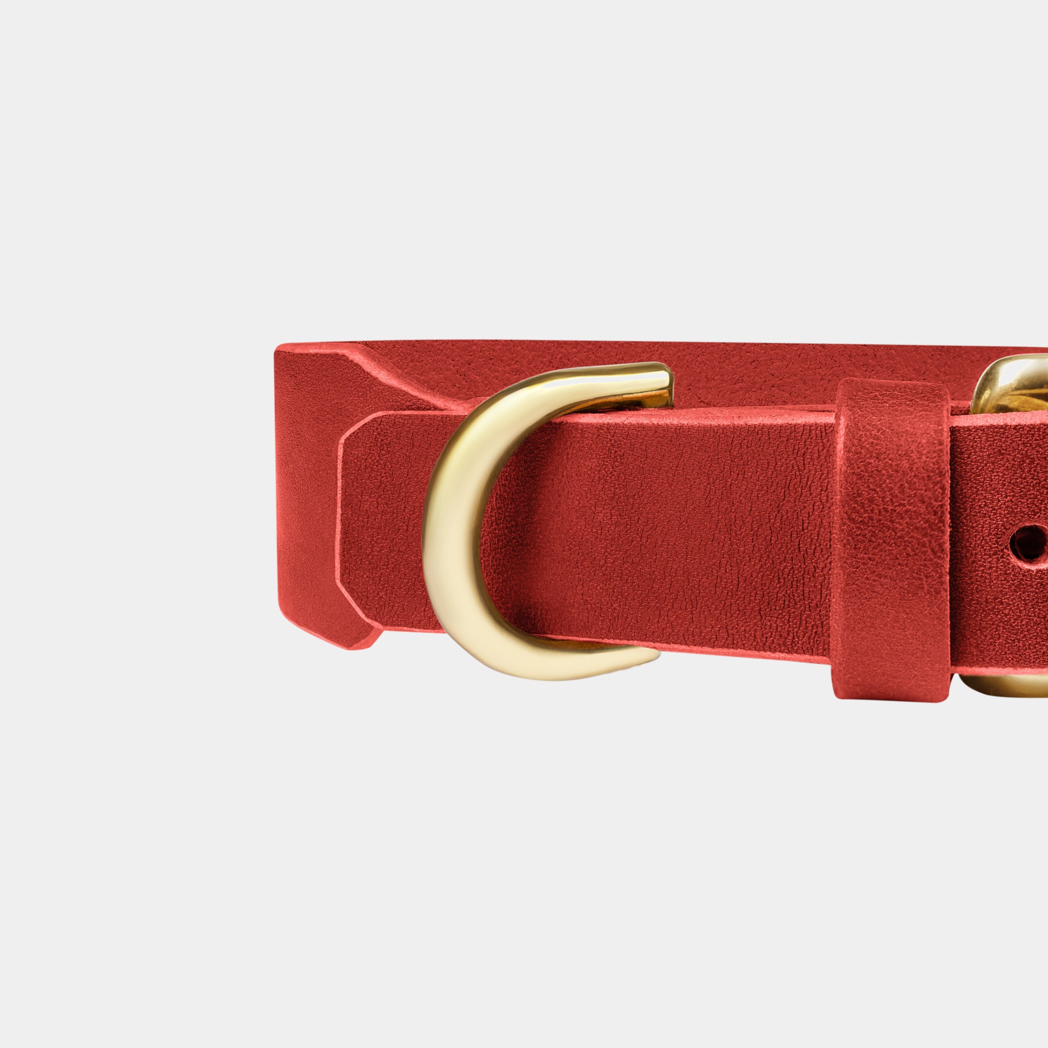 Grace Leather Collar & Aura Handsfree Leash in Burgundy Red