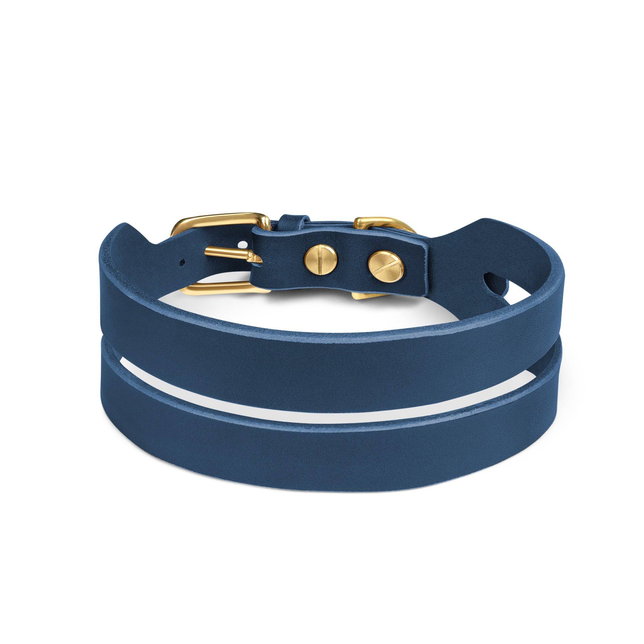 Halo wide dog collar in midnight navy leather with metal buckle from The Dogs Company, displayed on a dog.