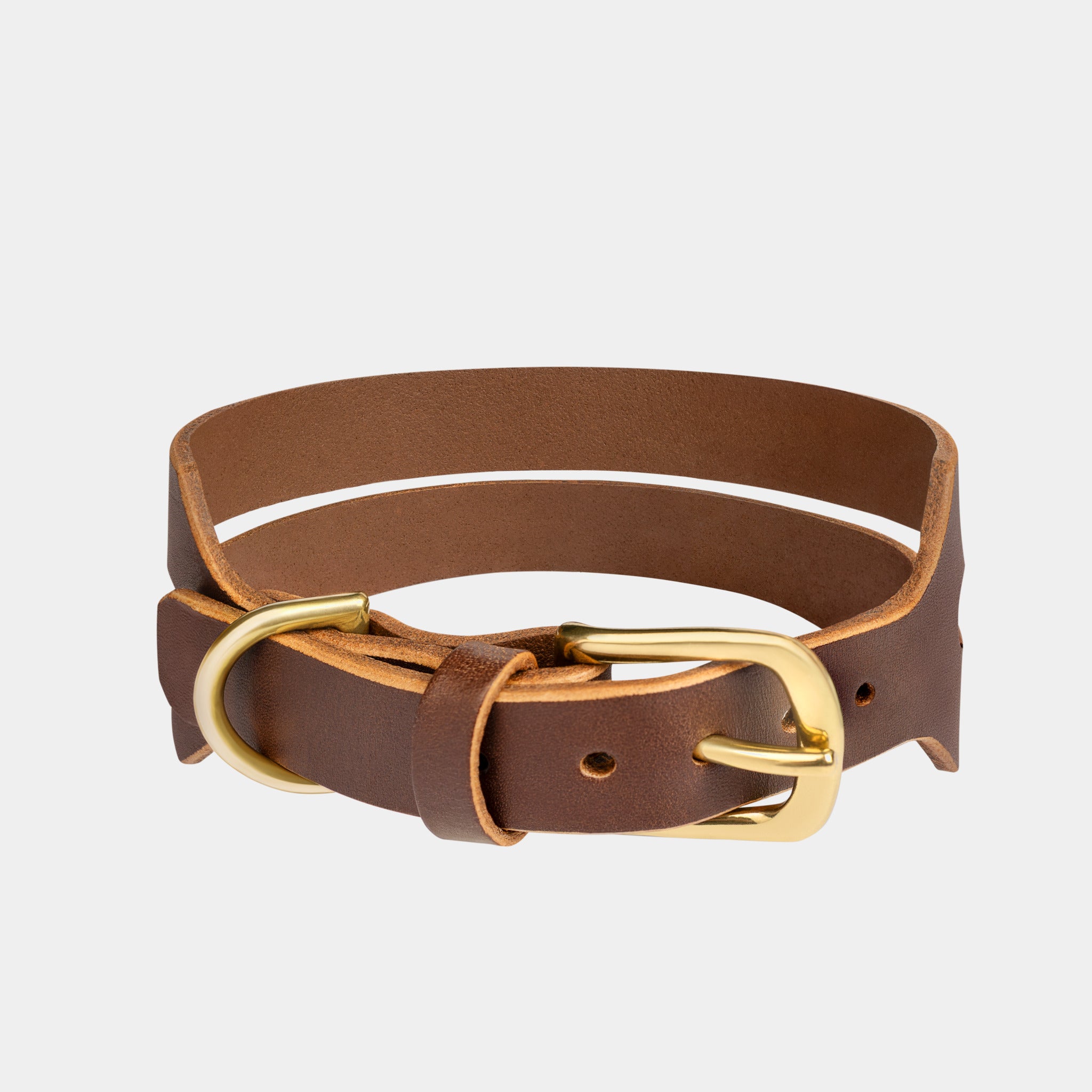 Halo Wide Dog Collar in Coffee Brown