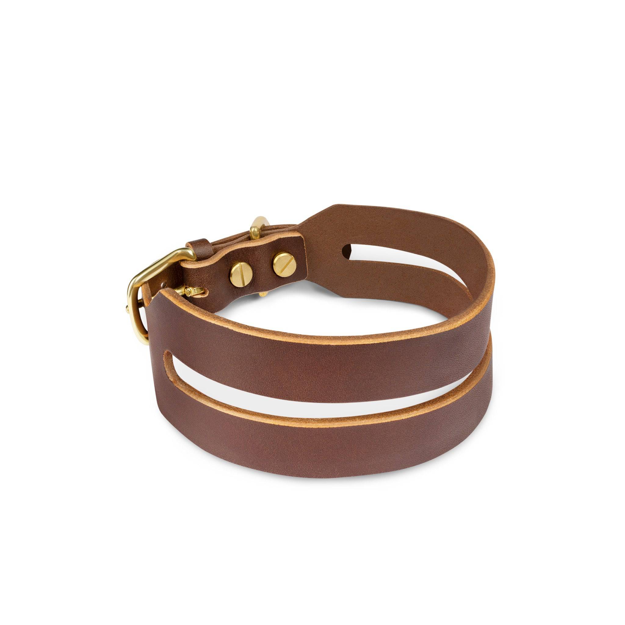 Leather Halo Wide Dog Collar in coffee brown from The Dogs Company, showing a sturdy, stylish collar with metal buckle detail.