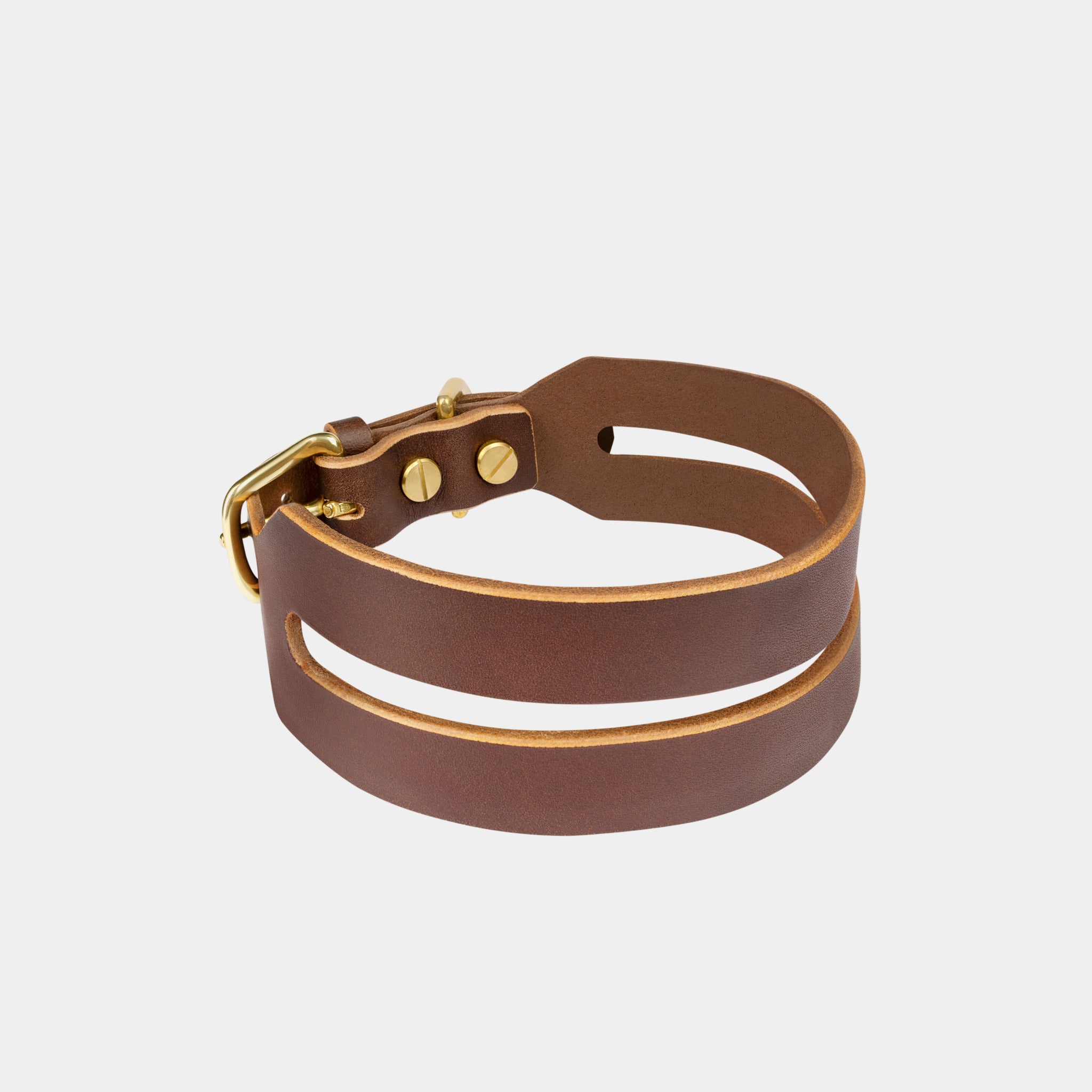 Halo Wide Dog Collar in Coffee Brown
