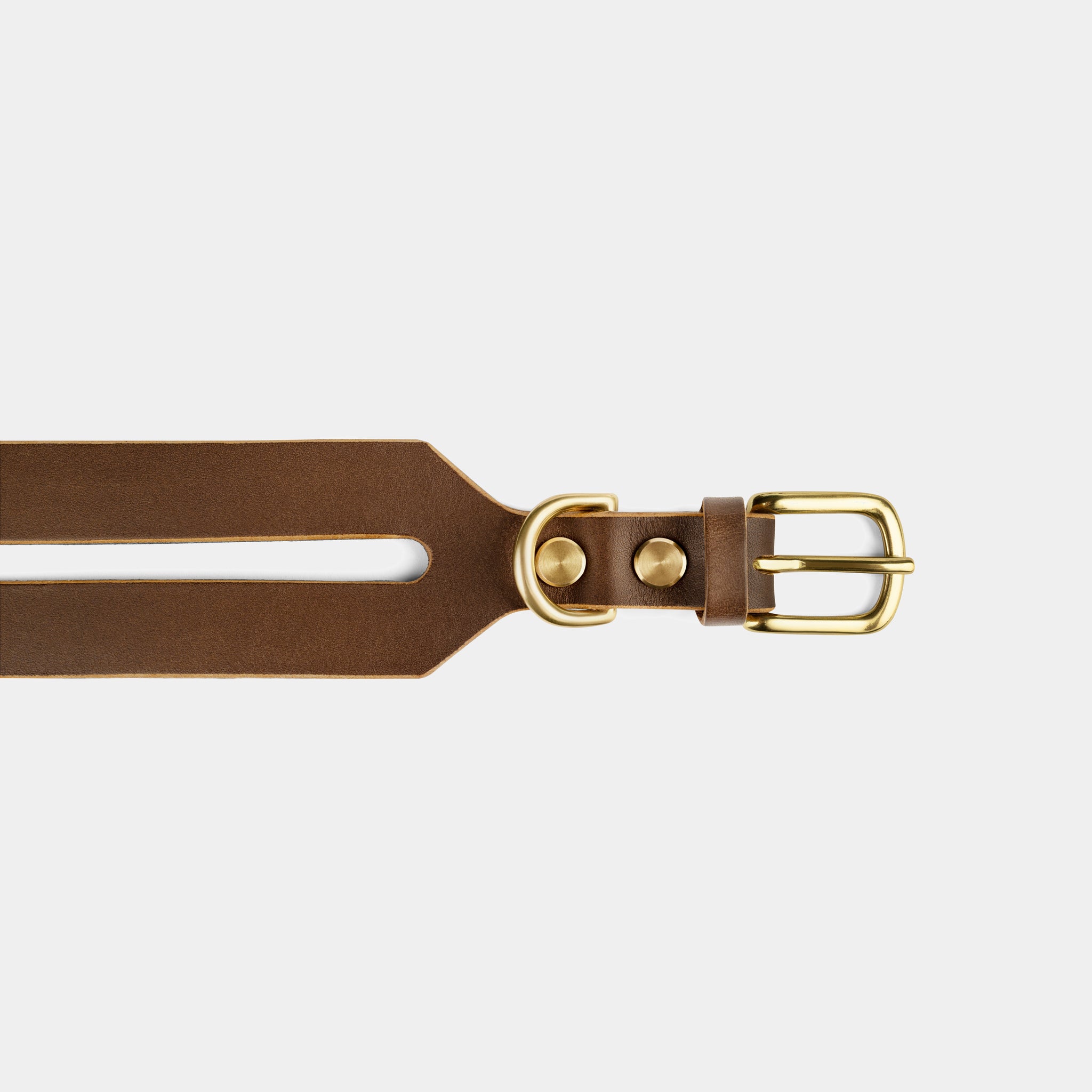 Halo Leather Collar & Aura Handsfree Leash in Coffee Brown