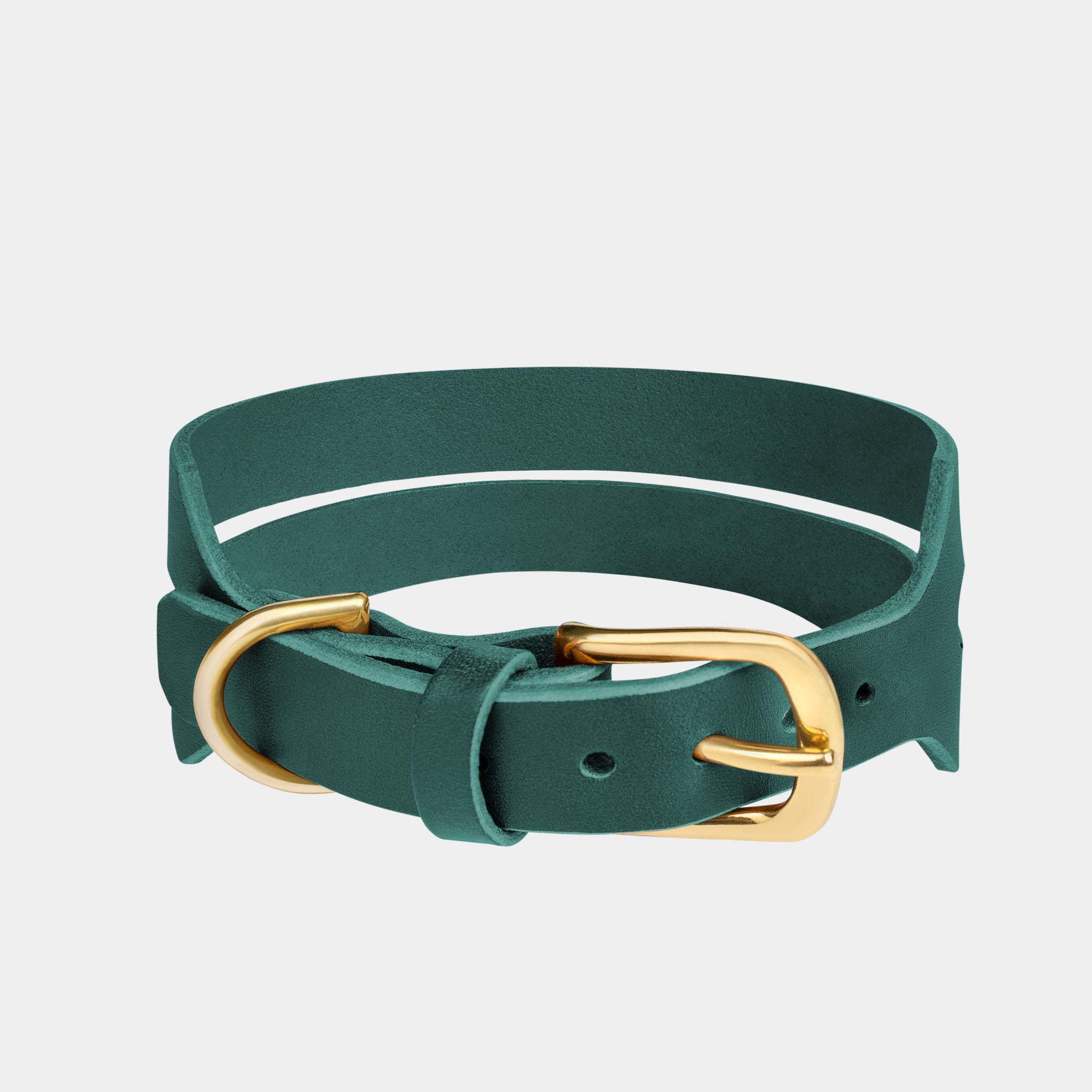 Halo Leather Collar & Aura Handsfree Leash in Forest Green