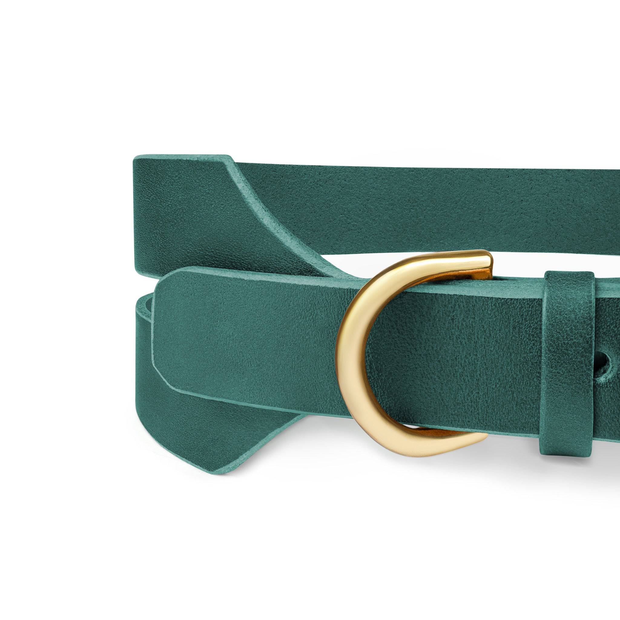 Halo wide dog collar by The Dogs Company in forest green leather with sturdy buckle and metal accents.