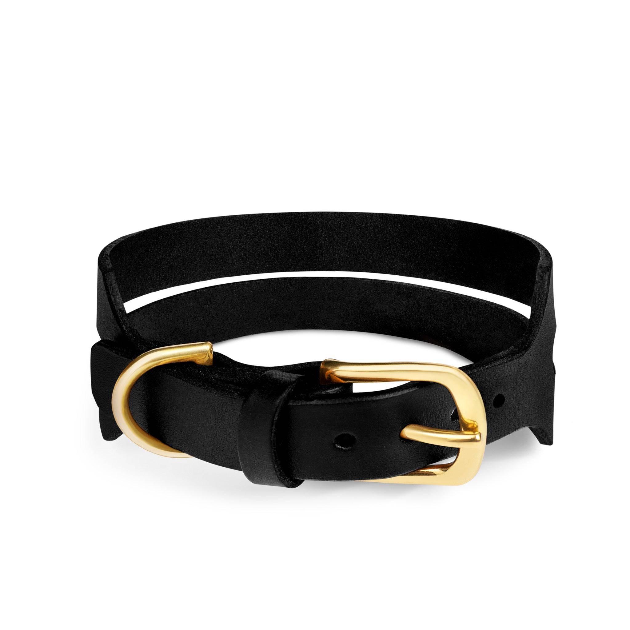 Black leather Halo Wide Dog Collar by The Dogs Company featuring a sturdy, stylish design for medium to large dogs.