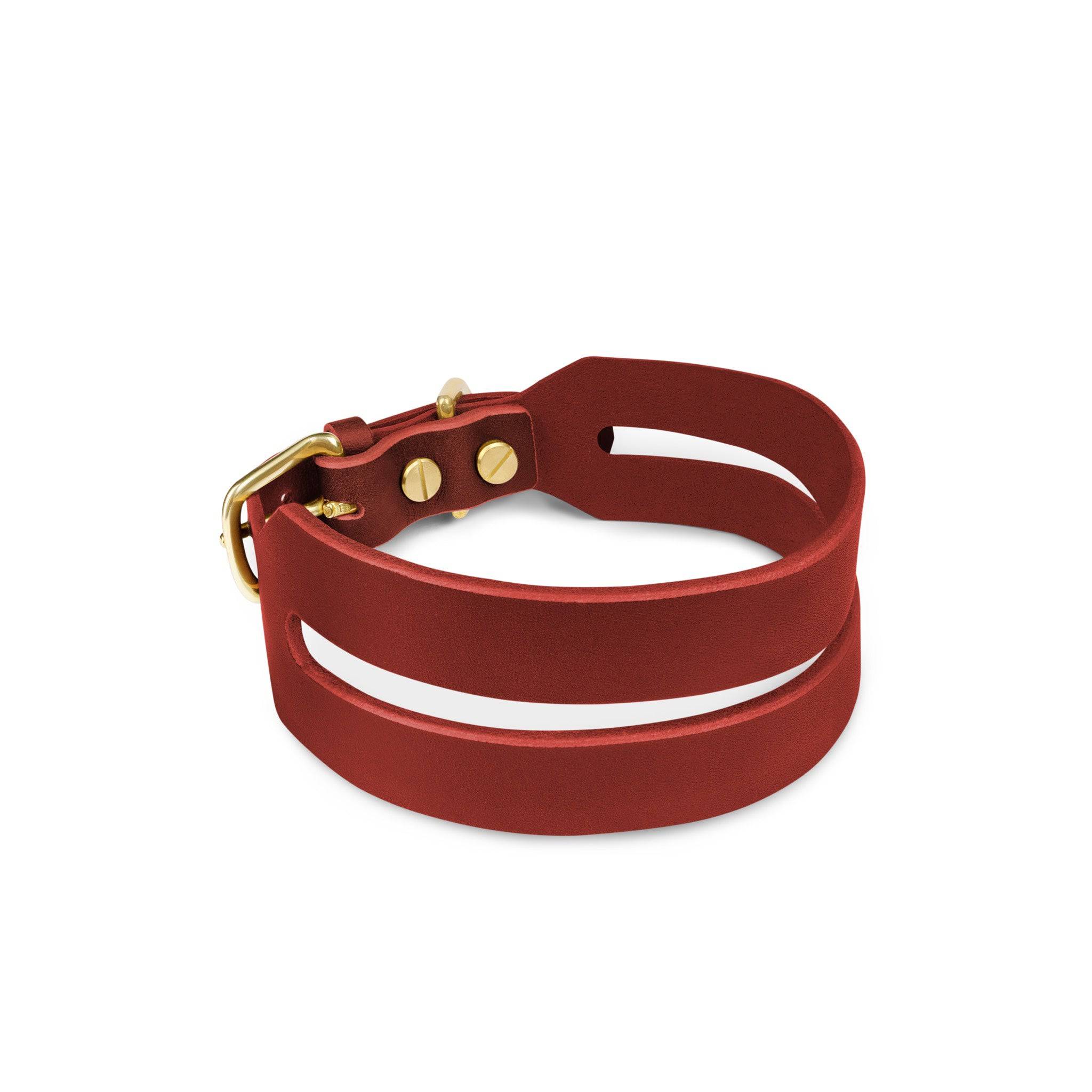 Halo Wide Dog Collar in Burgundy Red by The Dogs Company, featuring a durable leather strap with metal buckle.