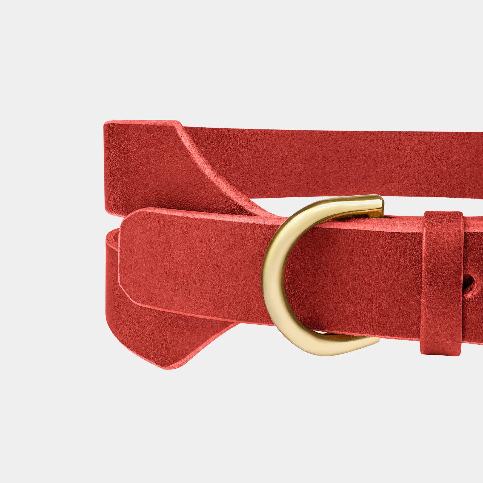 Halo Wide Dog Collar in Burgundy Red