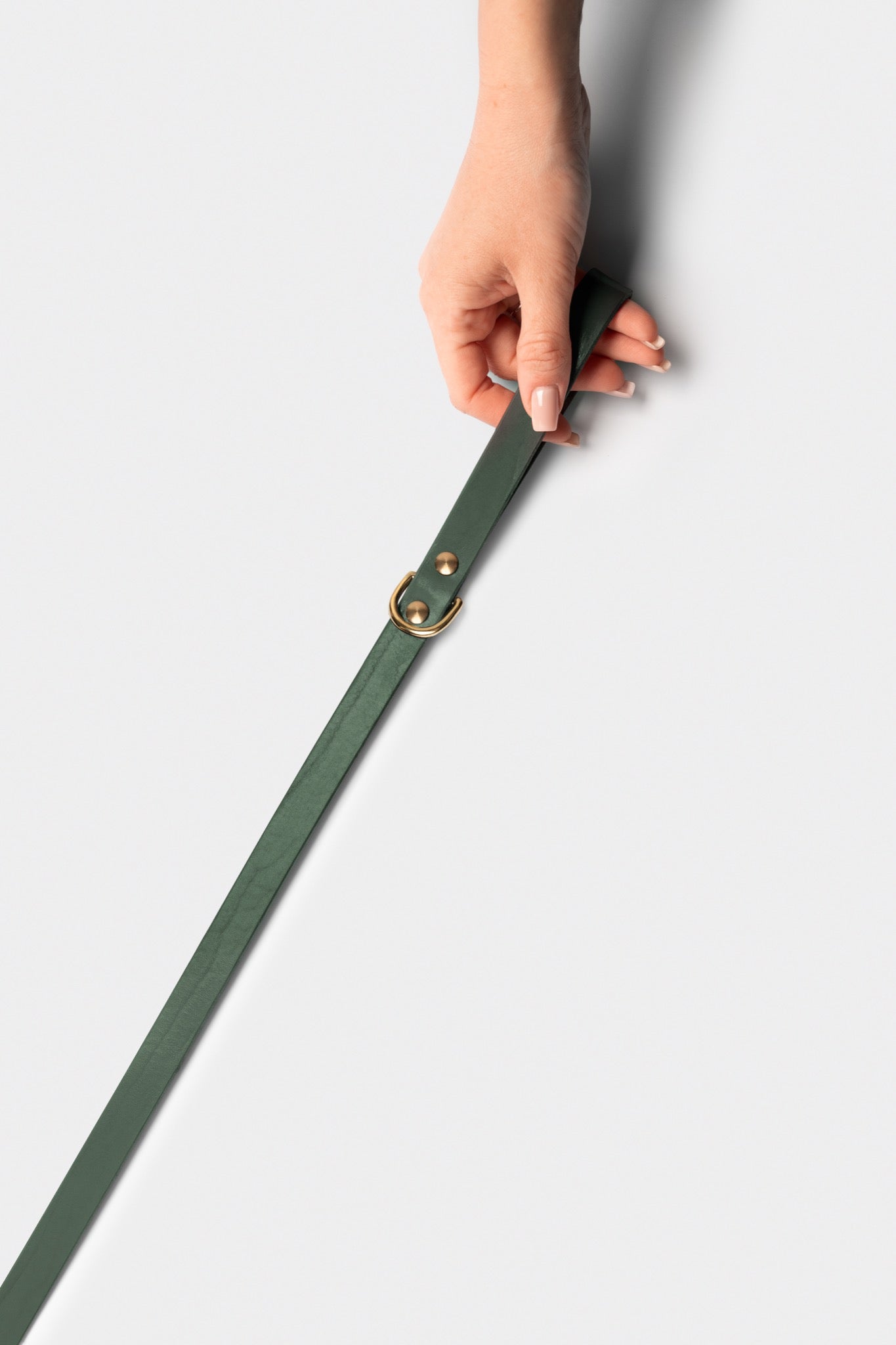 Heritage City Leather Leash in Forest Green