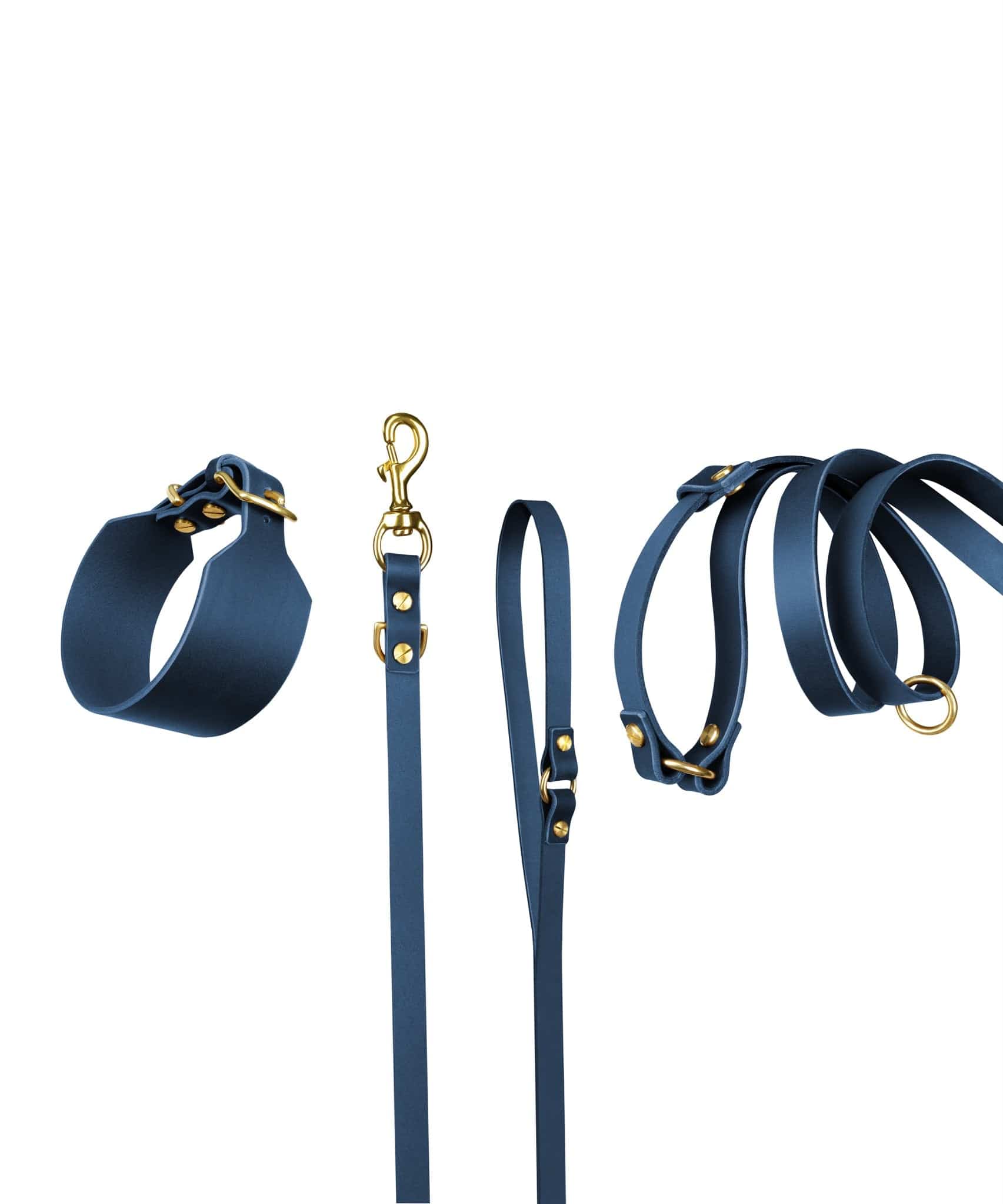 Atlas Leather Collar and Aura Handsfree Leash bundle by The Dogs Company, featuring a navy leather collar and matching leash.