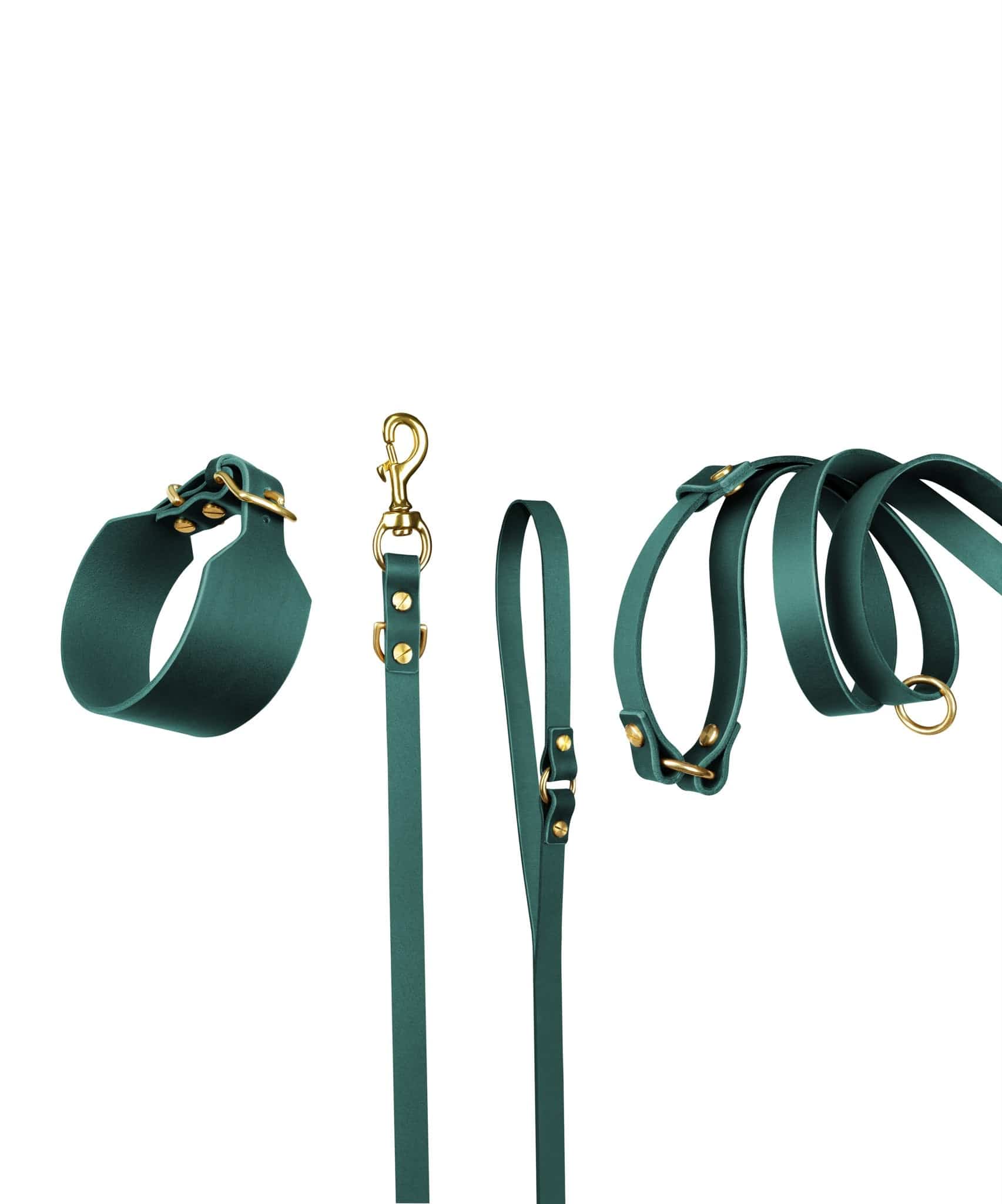 Atlas Leather Collar and Aura Handsfree Leash bundle in forest green by The Dogs Company, featuring a leather dog collar and handsfree leash.